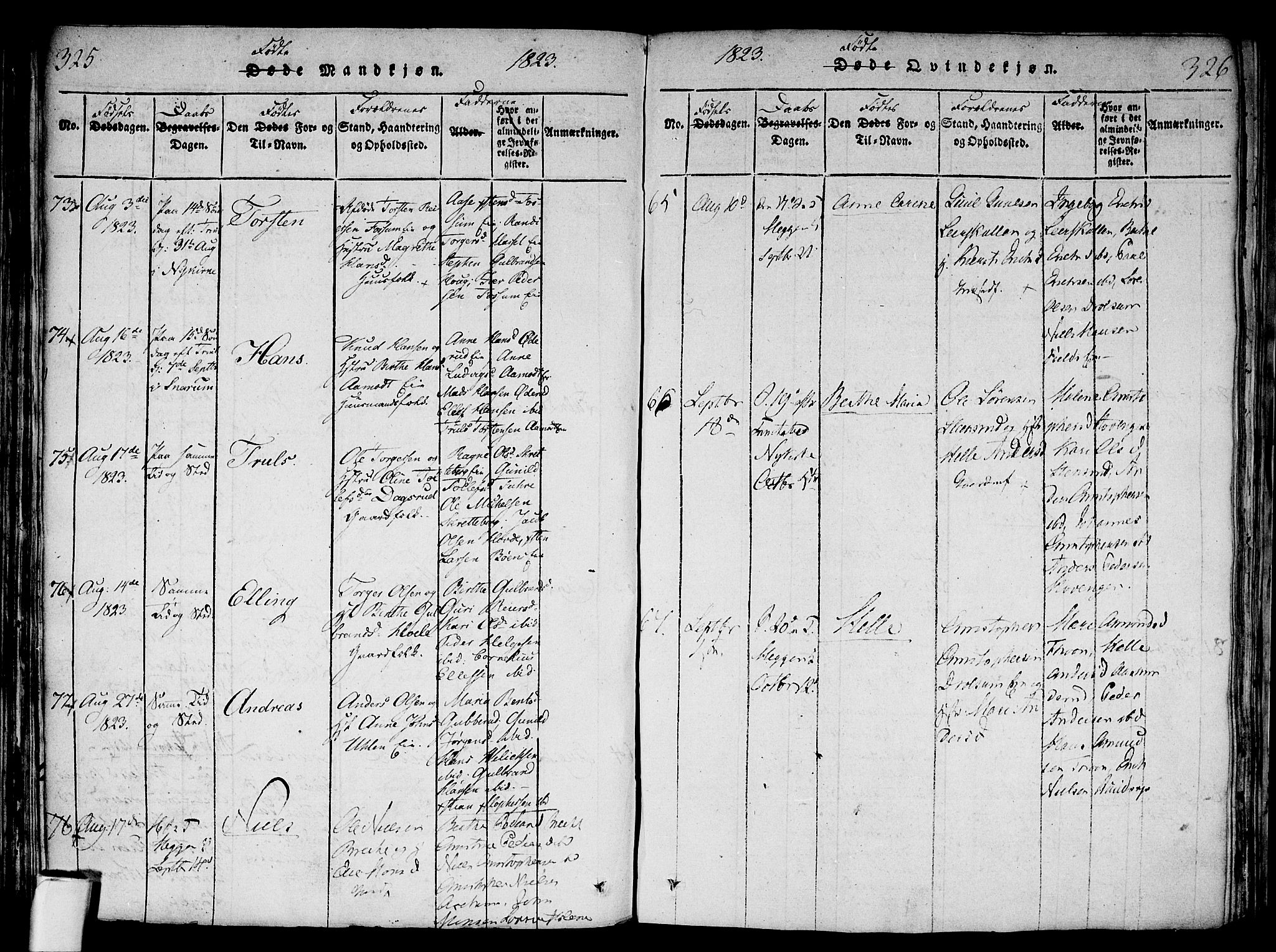 Modum kirkebøker, AV/SAKO-A-234/F/Fa/L0004: Parish register (official) no. 4, 1818-1824, p. 325-326