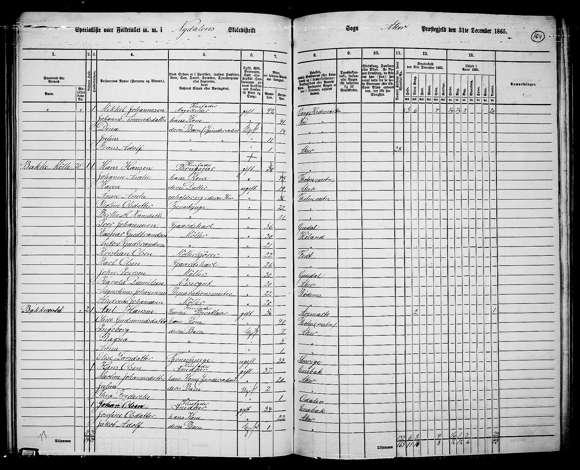 RA, 1865 census for Vestre Aker, 1865, p. 137