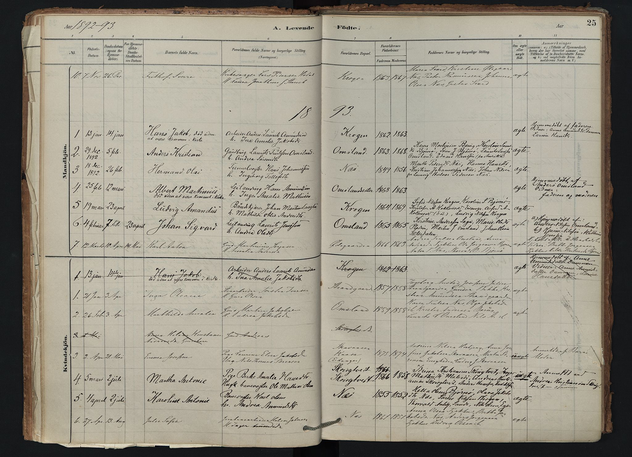 Brunlanes kirkebøker, AV/SAKO-A-342/F/Fd/L0001: Parish register (official) no. IV 1, 1878-1917, p. 25