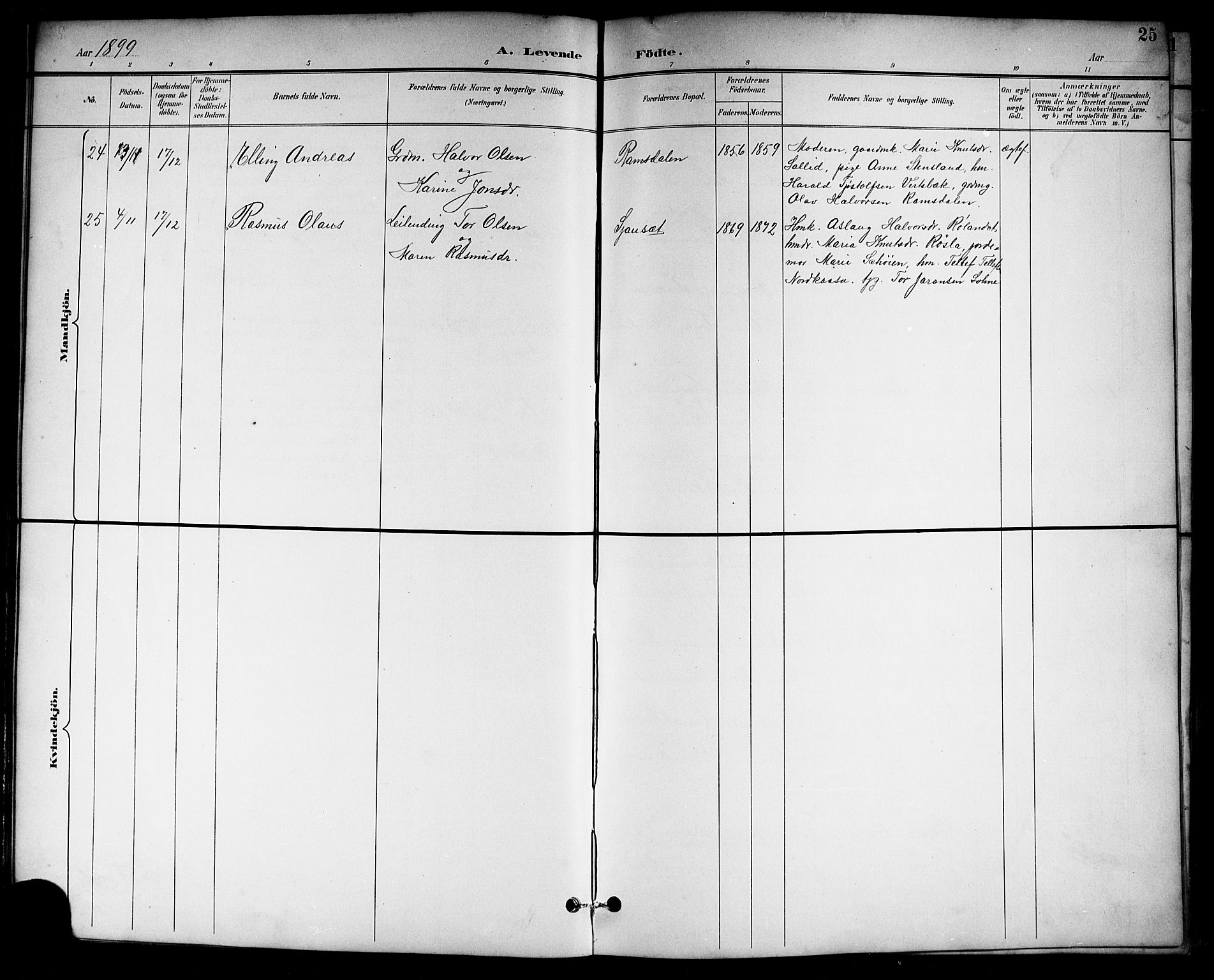 Drangedal kirkebøker, SAKO/A-258/G/Gb/L0002: Parish register (copy) no. II 2, 1895-1918, p. 25
