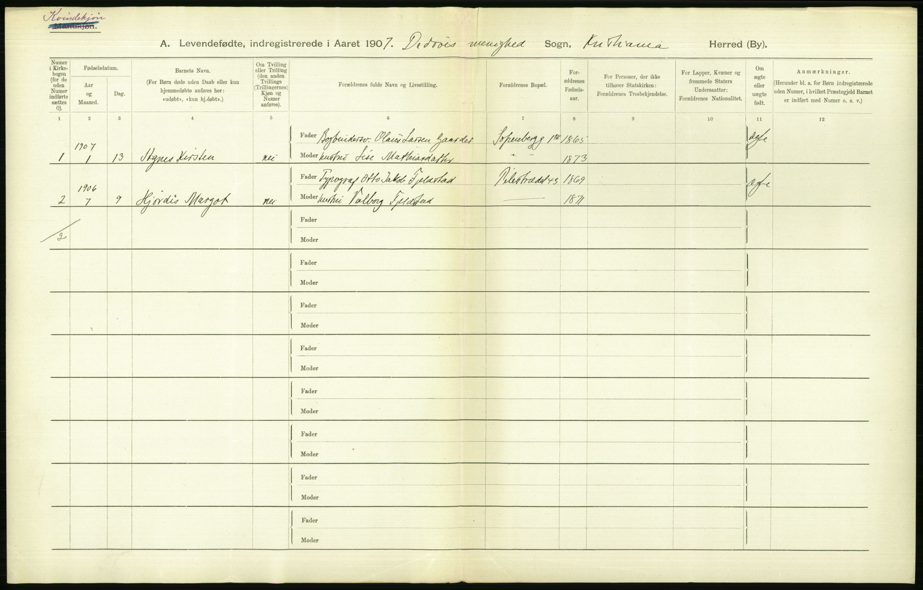 Statistisk sentralbyrå, Sosiodemografiske emner, Befolkning, AV/RA-S-2228/D/Df/Dfa/Dfae/L0007: Kristiania: Levendefødte menn og kvinner., 1907, p. 662