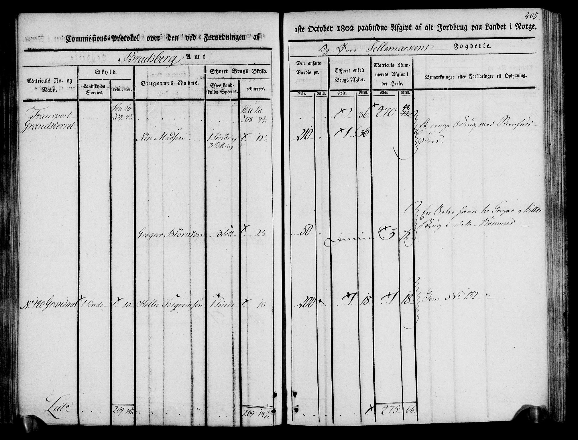 Rentekammeret inntil 1814, Realistisk ordnet avdeling, RA/EA-4070/N/Ne/Nea/L0074: Øvre Telemarken fogderi. Kommisjonsprotokoll for fogderiets østre del - Tinn, Hjartdal og Seljord prestegjeld., 1803, p. 205