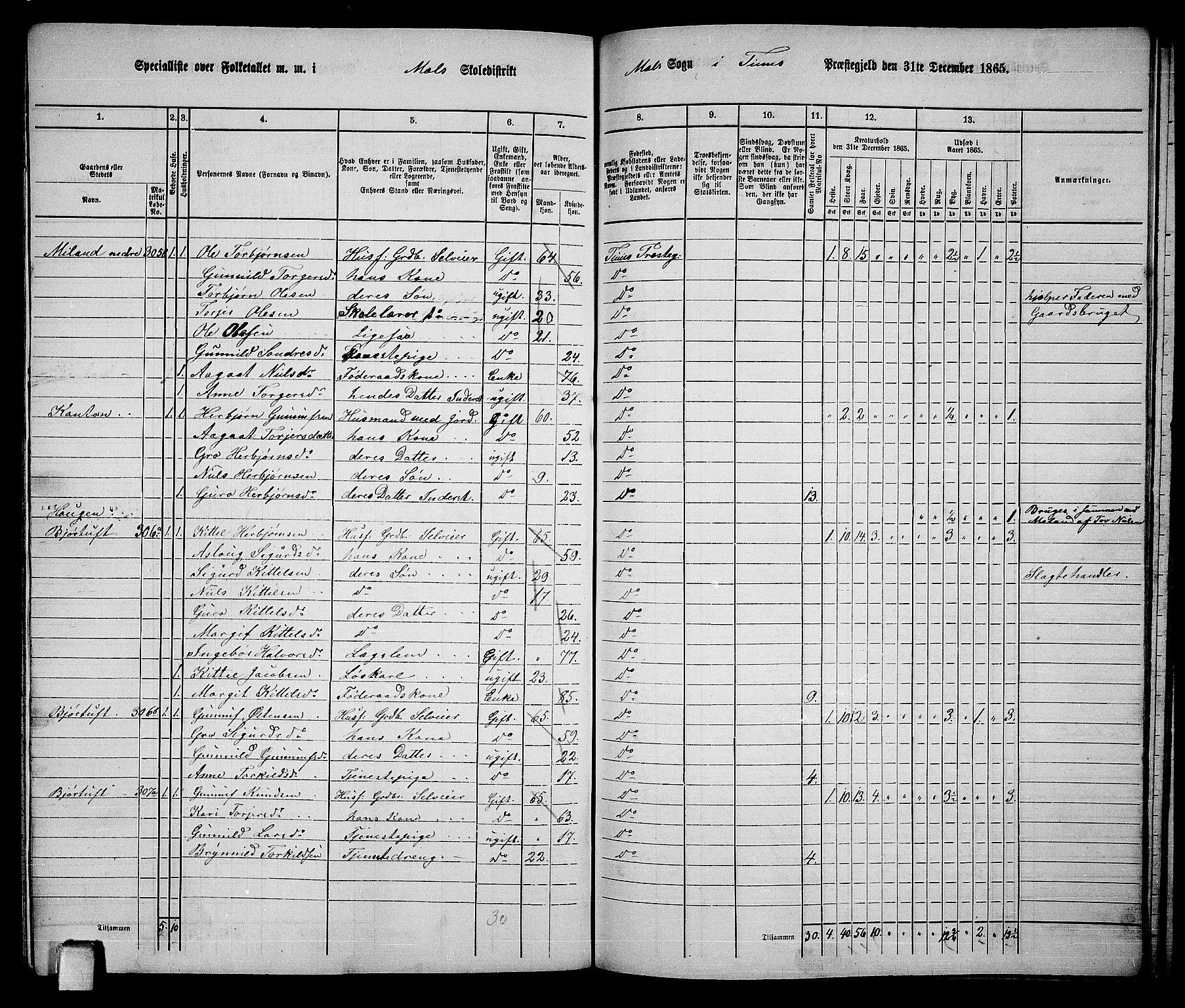 RA, 1865 census for Tinn, 1865, p. 96