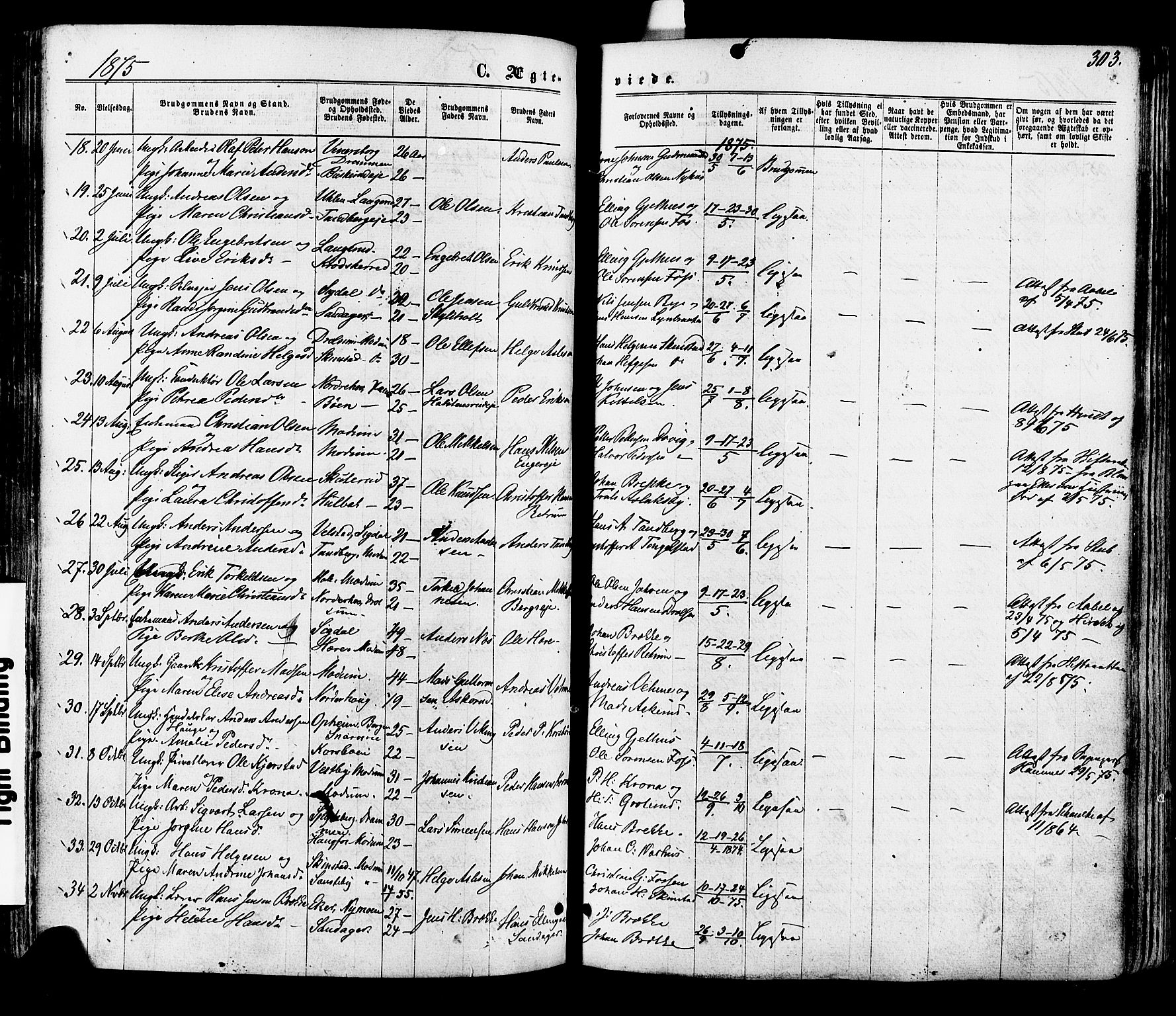 Modum kirkebøker, AV/SAKO-A-234/F/Fa/L0010: Parish register (official) no. 10, 1865-1876, p. 303