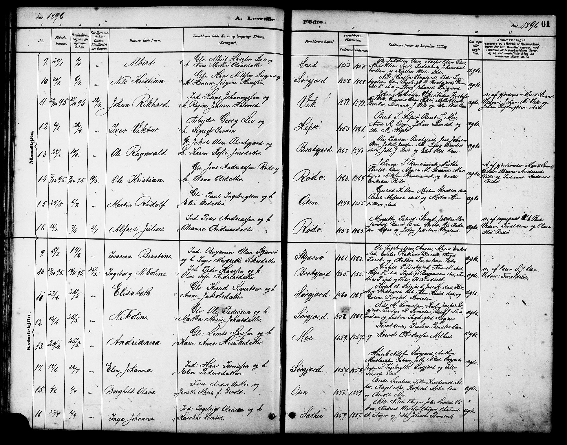 Ministerialprotokoller, klokkerbøker og fødselsregistre - Sør-Trøndelag, SAT/A-1456/658/L0726: Parish register (copy) no. 658C02, 1883-1908, p. 61