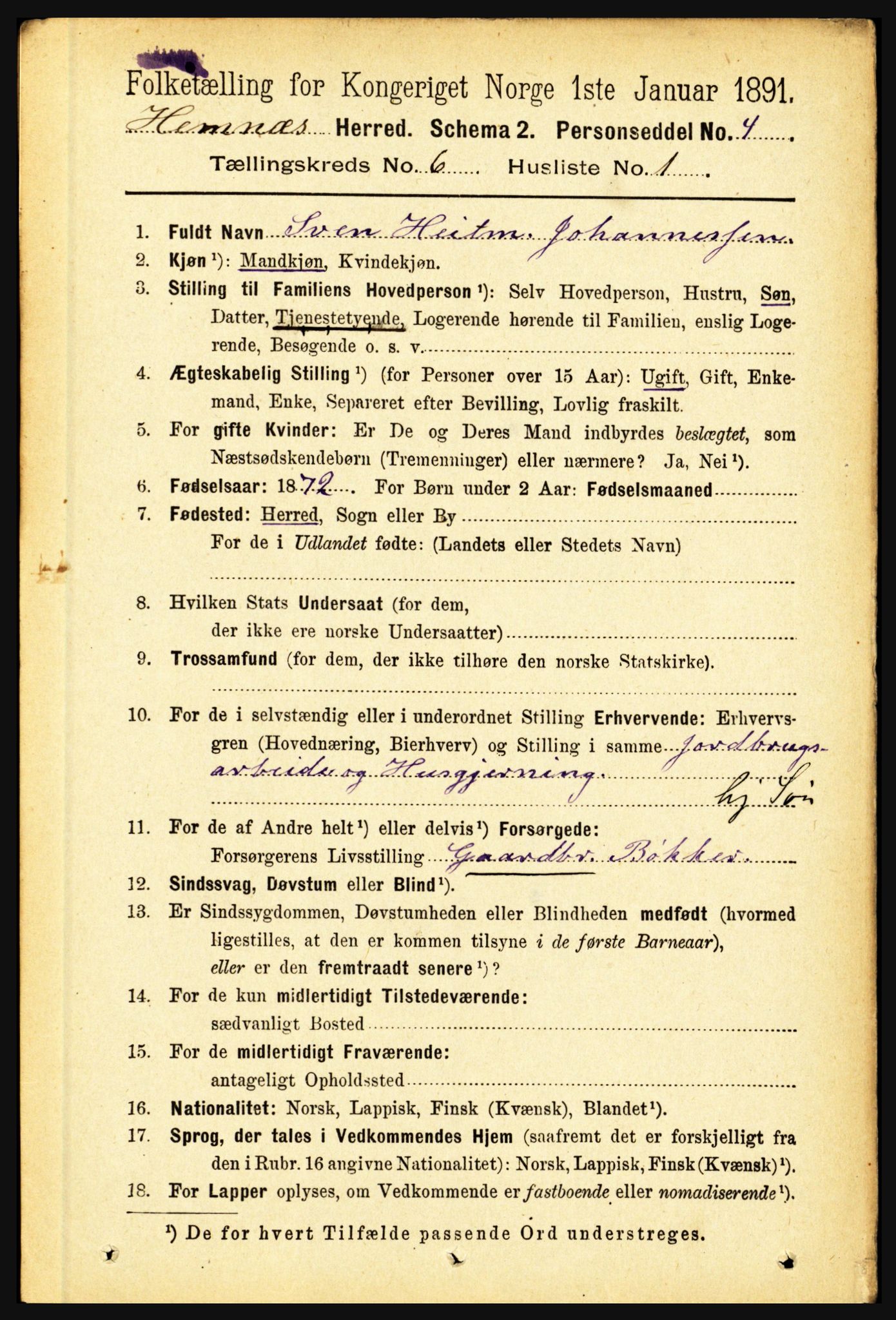 RA, 1891 census for 1832 Hemnes, 1891, p. 2935