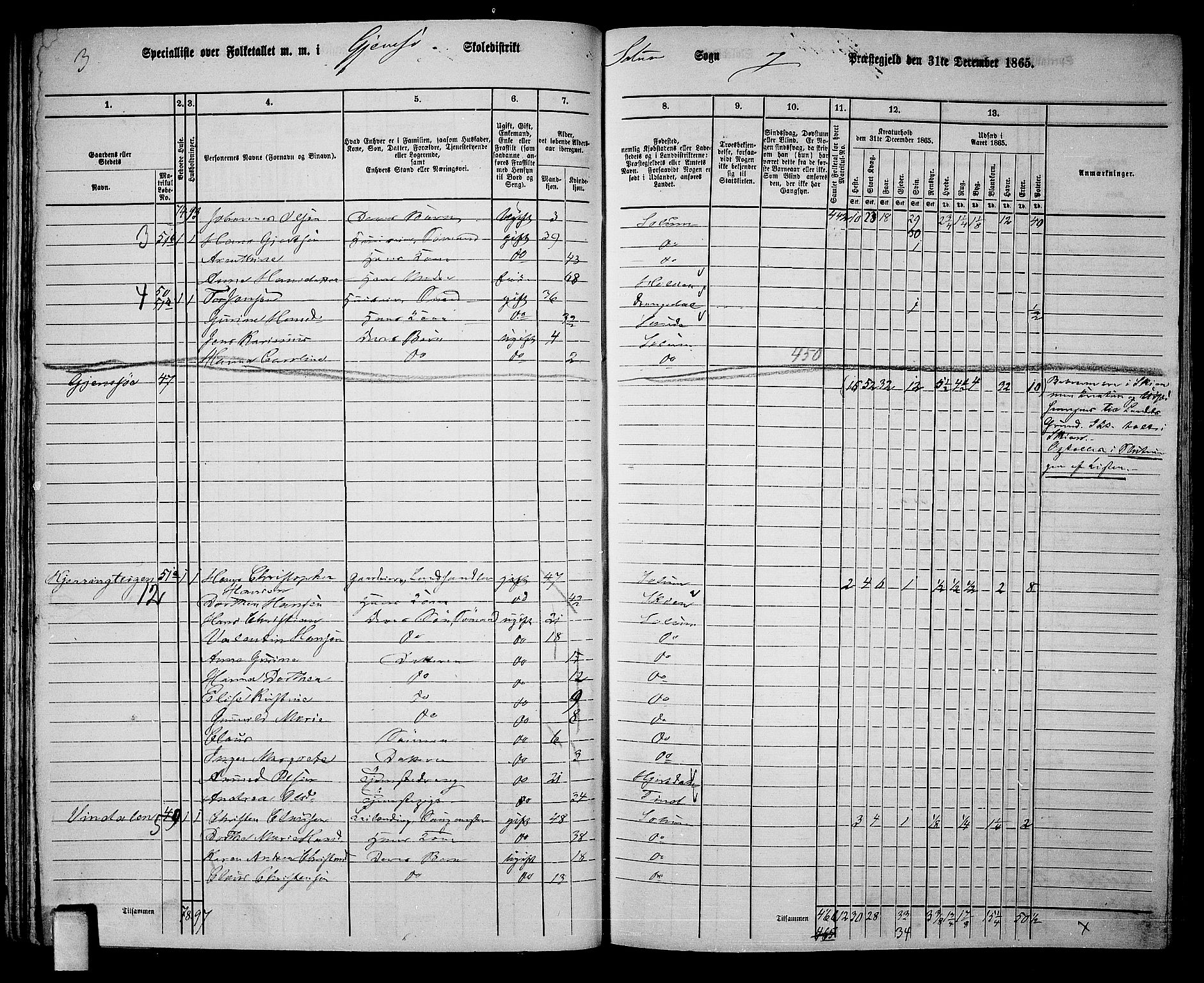 RA, 1865 census for Solum, 1865, p. 63