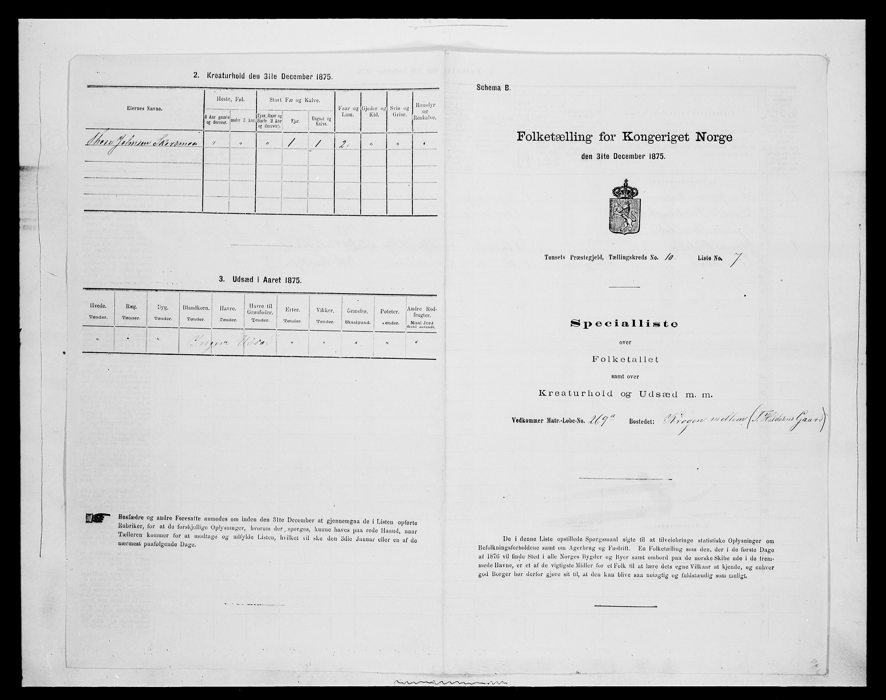 SAH, 1875 census for 0437P Tynset, 1875, p. 976