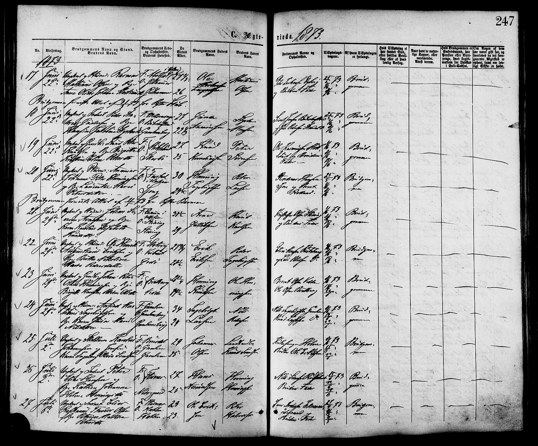 Ministerialprotokoller, klokkerbøker og fødselsregistre - Møre og Romsdal, AV/SAT-A-1454/528/L0399: Parish register (official) no. 528A10, 1864-1879, p. 247