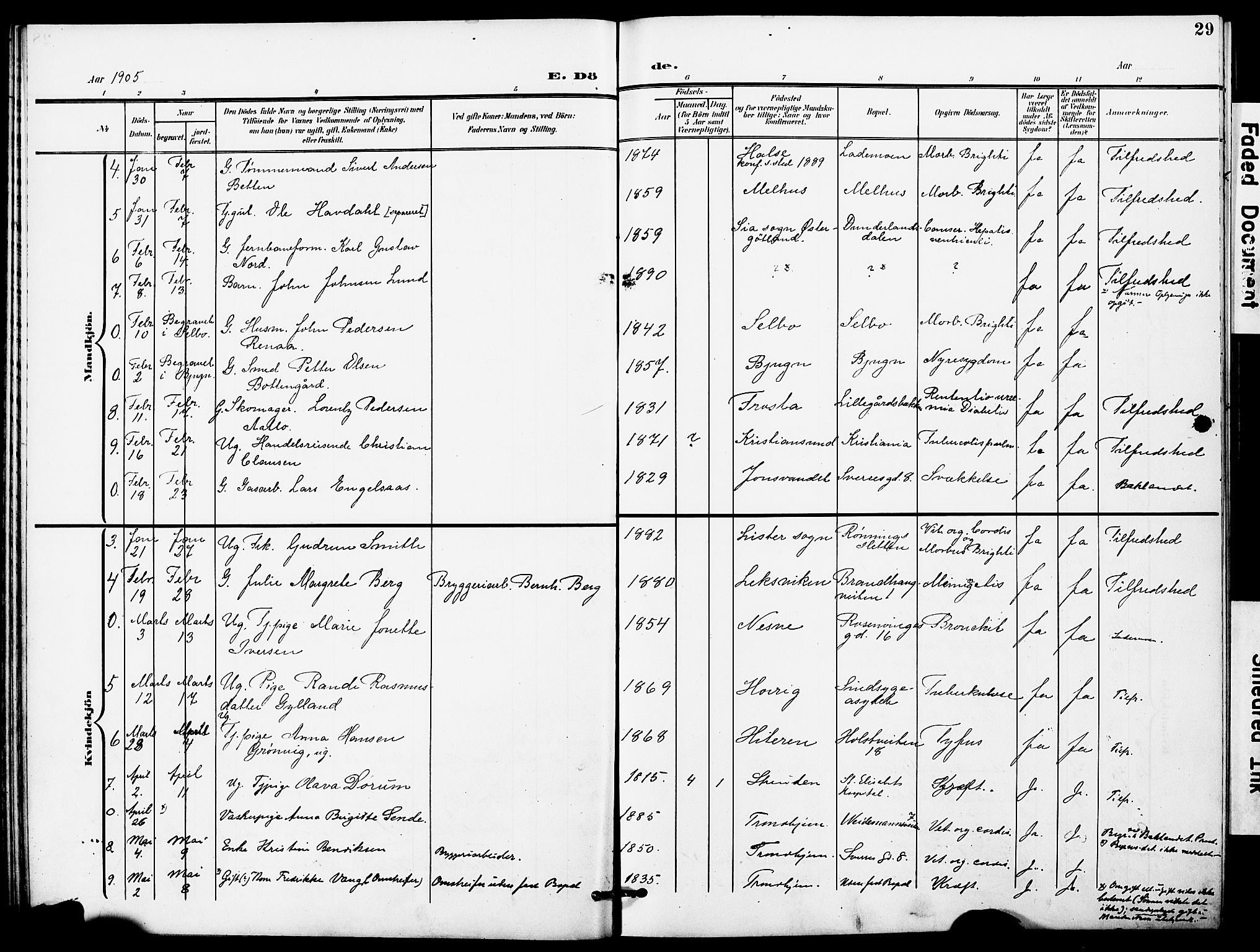 Ministerialprotokoller, klokkerbøker og fødselsregistre - Sør-Trøndelag, AV/SAT-A-1456/628/L0483: Parish register (official) no. 628A01, 1902-1920, p. 29