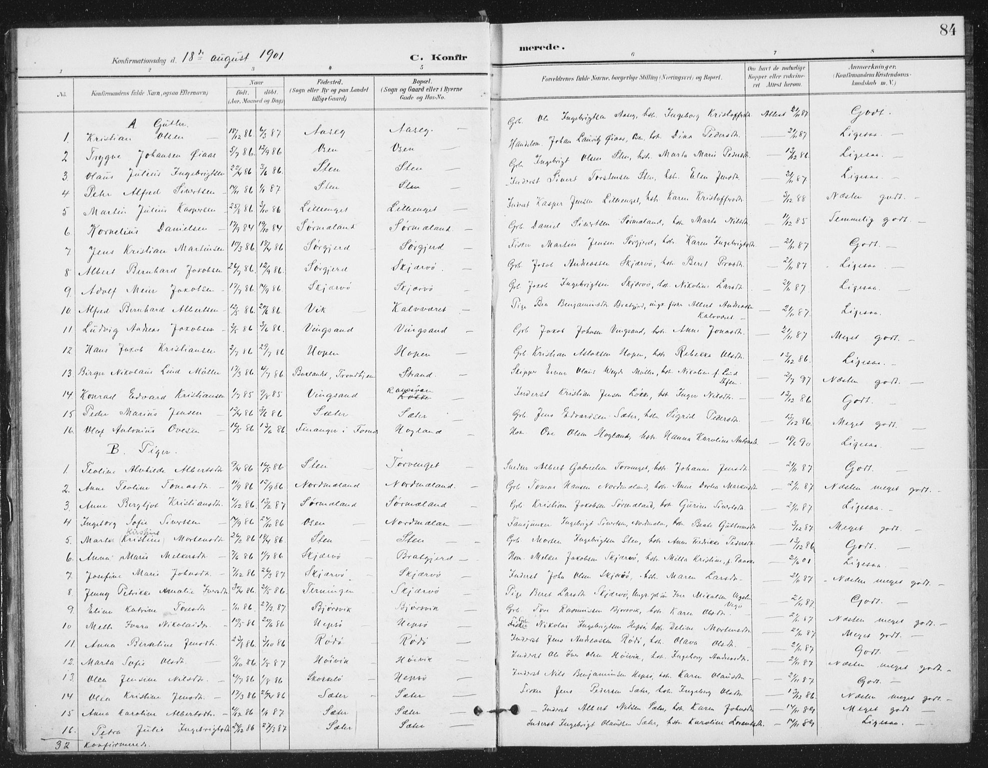 Ministerialprotokoller, klokkerbøker og fødselsregistre - Sør-Trøndelag, SAT/A-1456/658/L0723: Parish register (official) no. 658A02, 1897-1912, p. 84