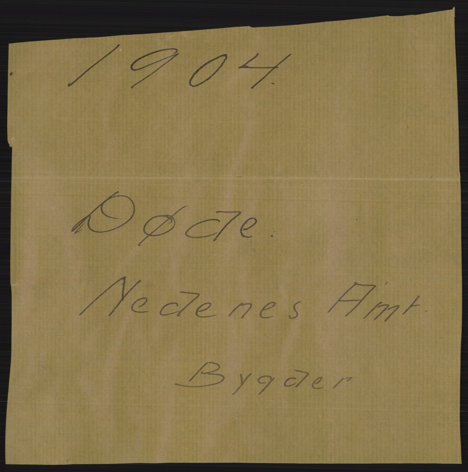 Statistisk sentralbyrå, Sosiodemografiske emner, Befolkning, AV/RA-S-2228/D/Df/Dfa/Dfab/L0010: Nedenes amt: Fødte, gifte, døde, 1904, p. 421