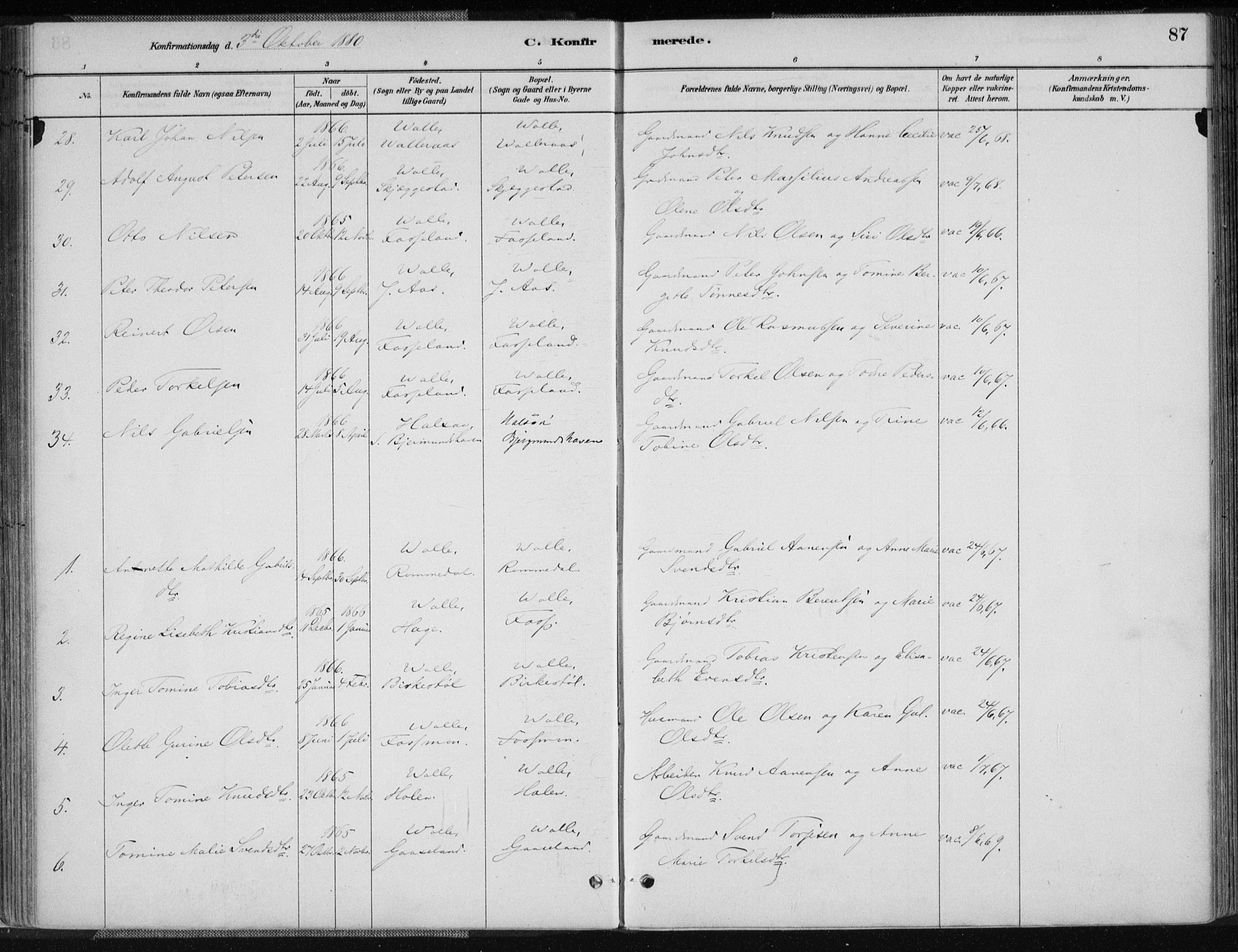 Sør-Audnedal sokneprestkontor, AV/SAK-1111-0039/F/Fa/Fab/L0009: Parish register (official) no. A 9, 1880-1895, p. 87