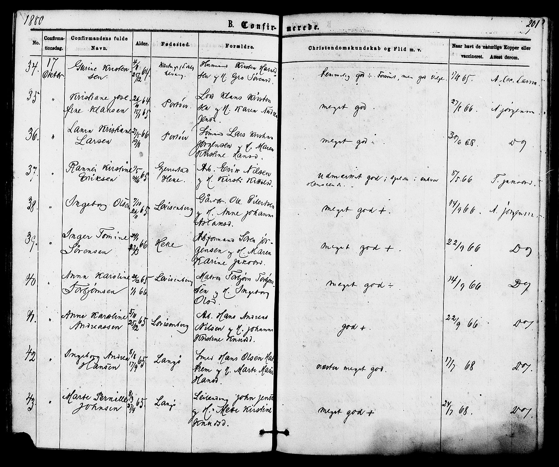 Skåtøy kirkebøker, AV/SAKO-A-304/F/Fa/L0001: Parish register (official) no. I 1, 1874-1883, p. 201