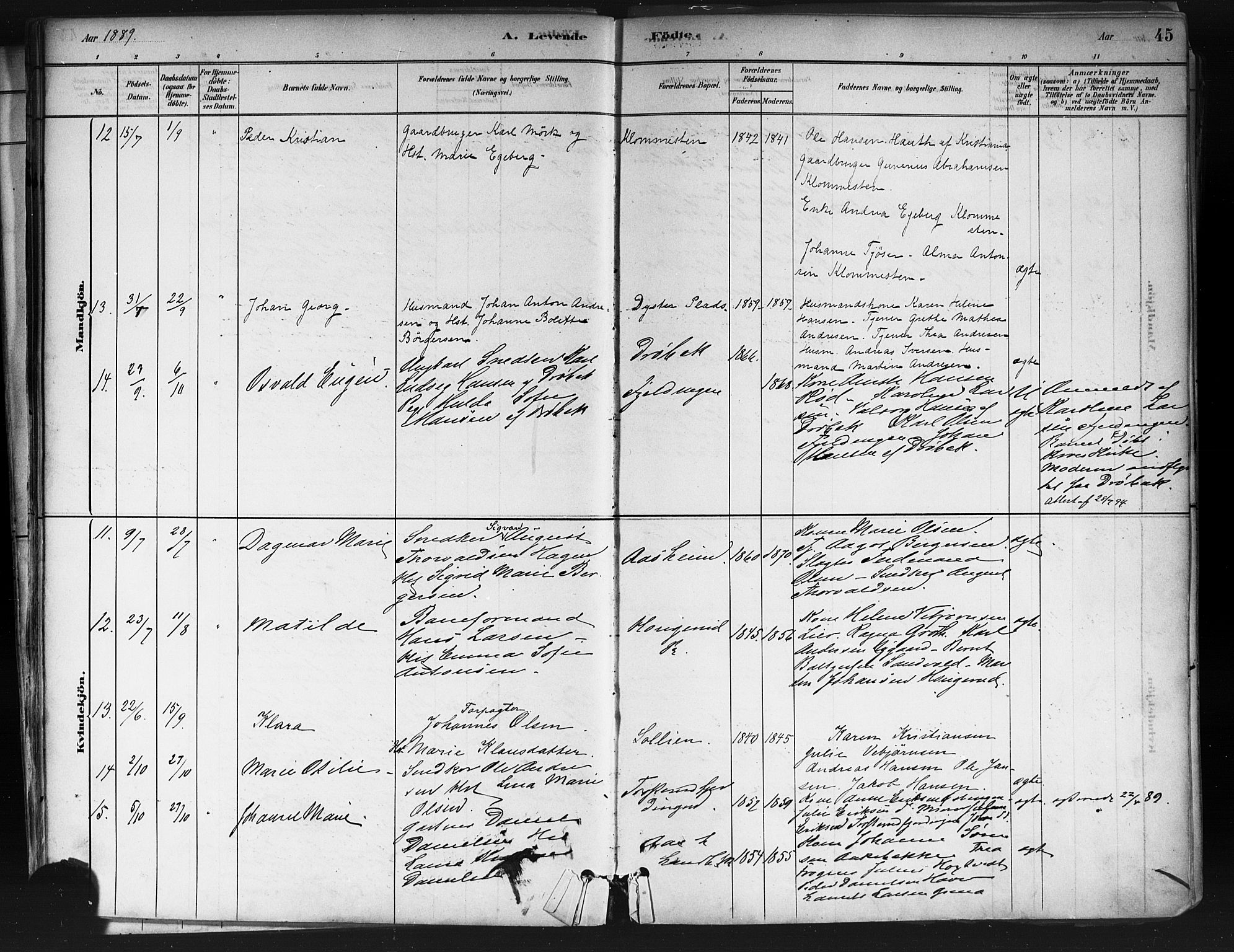 Ås prestekontor Kirkebøker, SAO/A-10894/F/Fa/L0009: Parish register (official) no. I 9, 1881-1900, p. 45