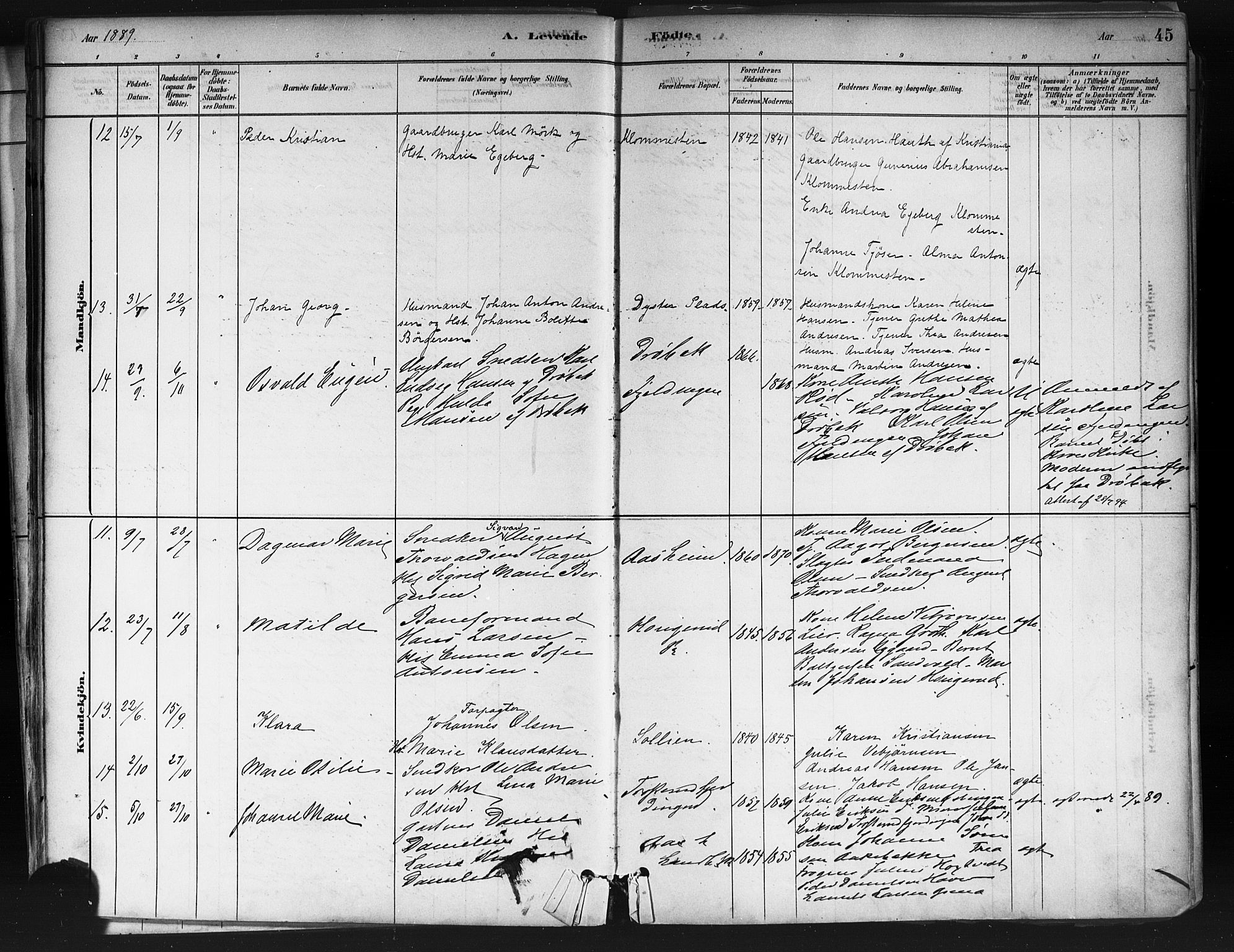 Ås prestekontor Kirkebøker, AV/SAO-A-10894/F/Fa/L0009: Parish register (official) no. I 9, 1881-1900, p. 45