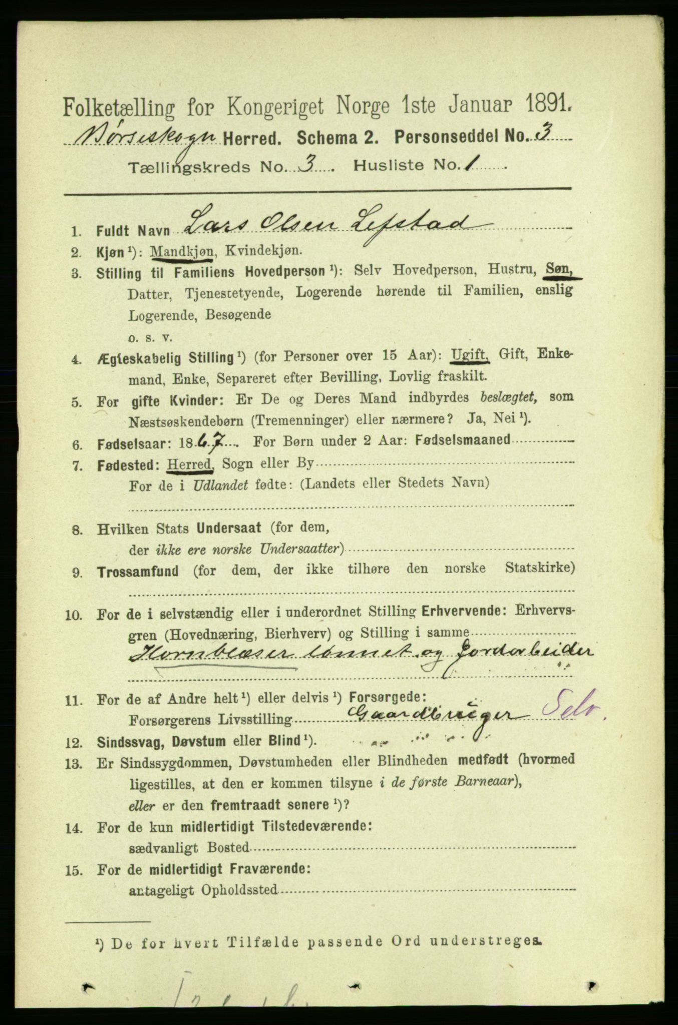 RA, 1891 census for 1657 Børseskogn, 1891, p. 1346