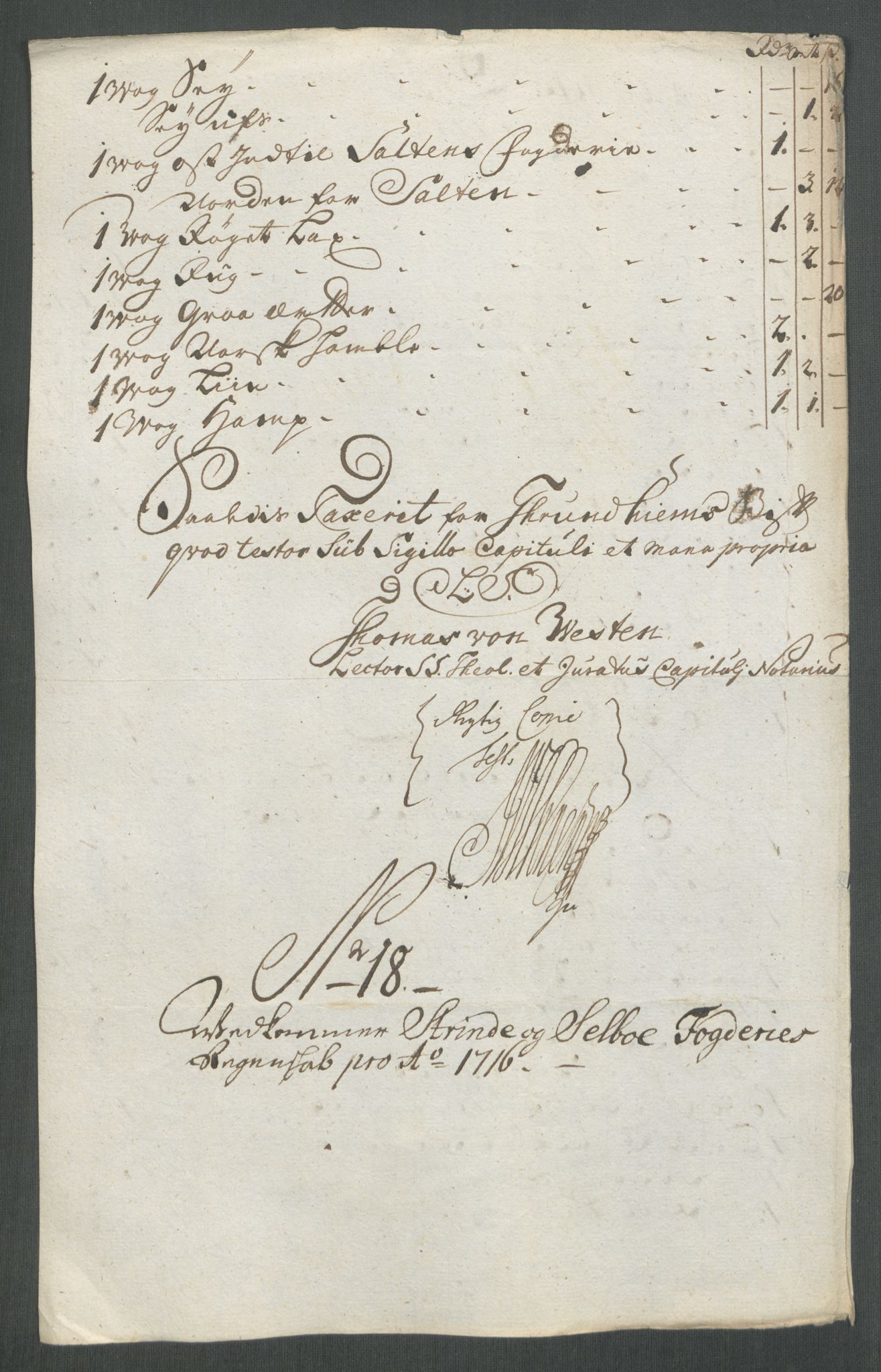 Rentekammeret inntil 1814, Reviderte regnskaper, Fogderegnskap, AV/RA-EA-4092/R61/L4115: Fogderegnskap Strinda og Selbu, 1715-1716, p. 409