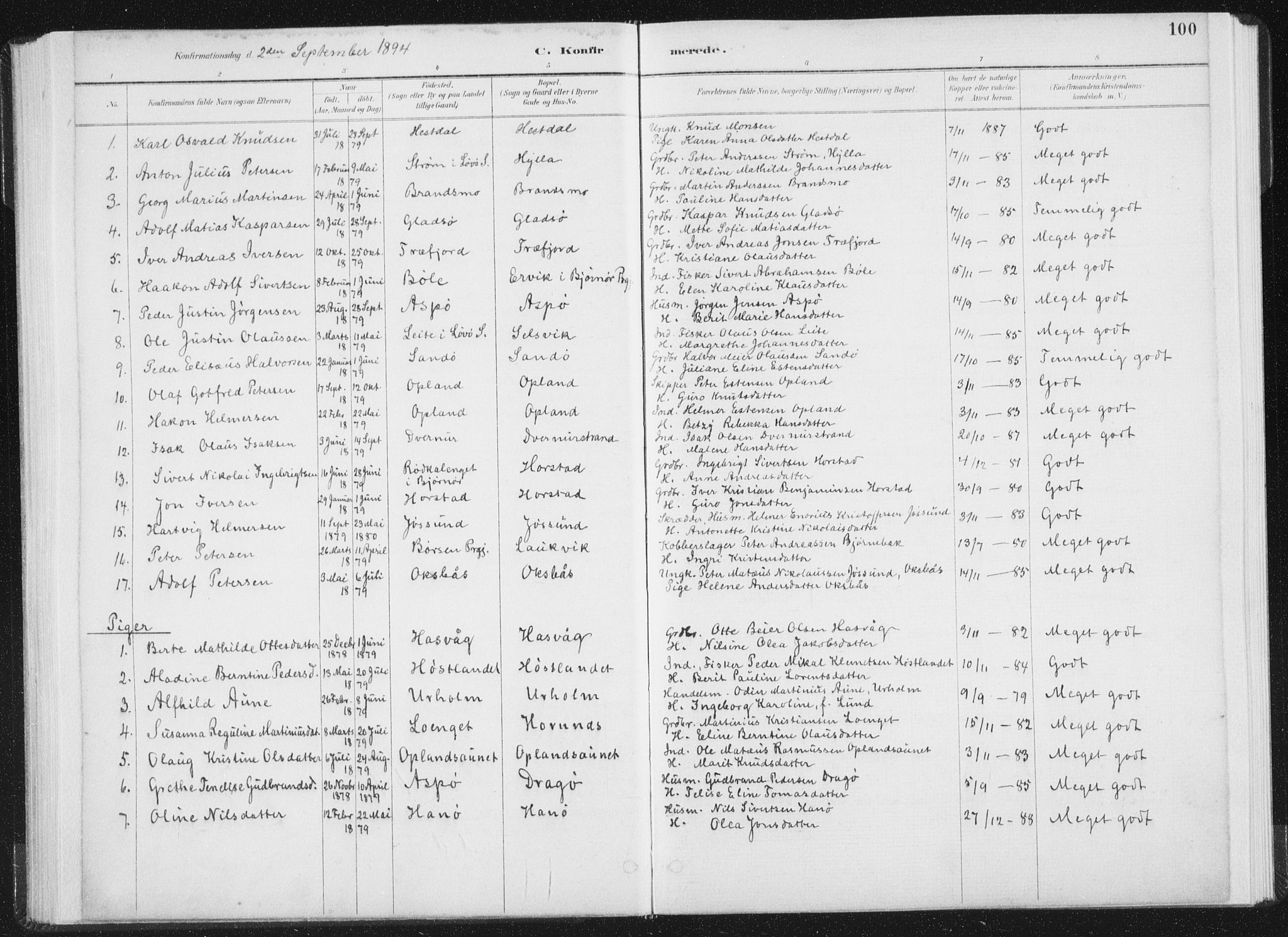 Ministerialprotokoller, klokkerbøker og fødselsregistre - Nord-Trøndelag, SAT/A-1458/771/L0597: Parish register (official) no. 771A04, 1885-1910, p. 100