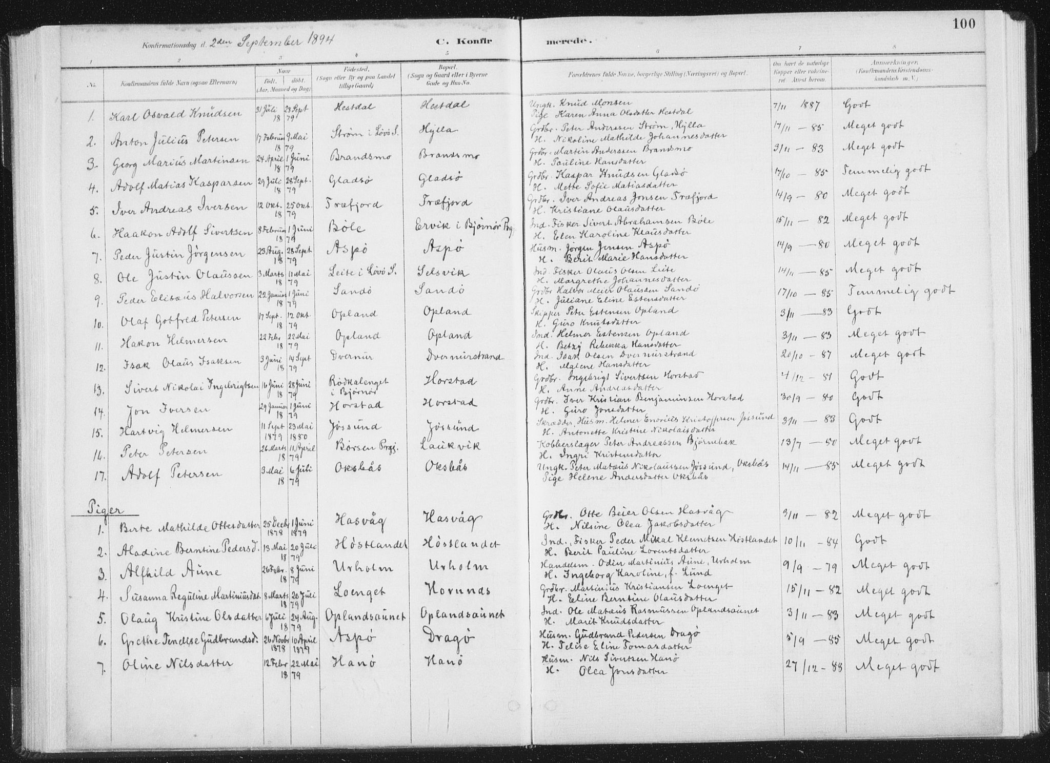 Ministerialprotokoller, klokkerbøker og fødselsregistre - Nord-Trøndelag, AV/SAT-A-1458/771/L0597: Parish register (official) no. 771A04, 1885-1910, p. 100