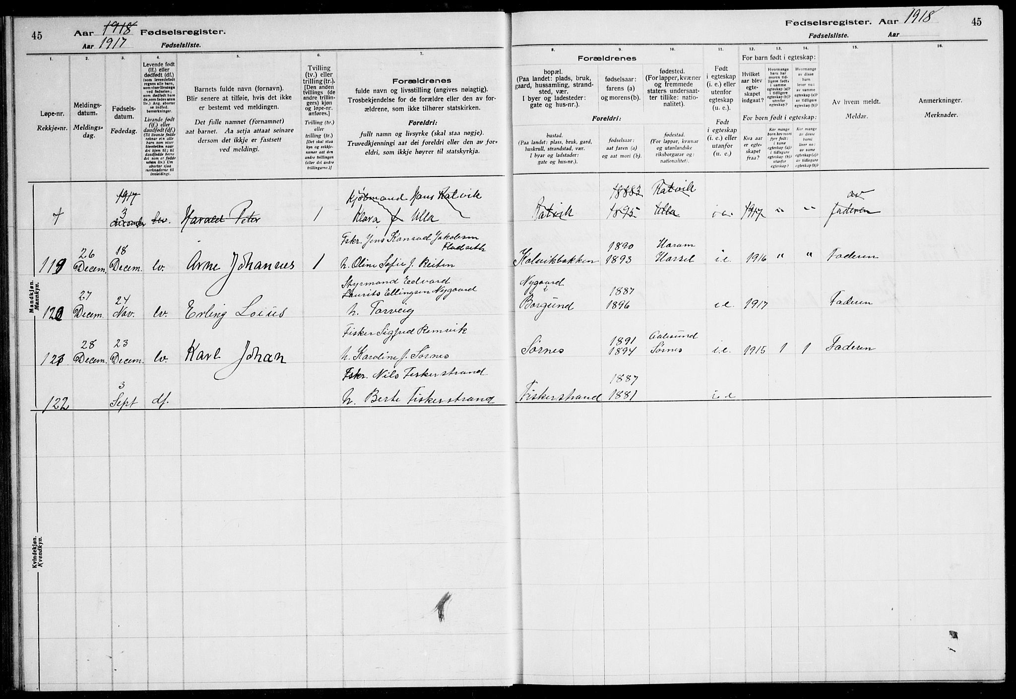 Ministerialprotokoller, klokkerbøker og fødselsregistre - Møre og Romsdal, AV/SAT-A-1454/528/L0442: Birth register no. 528.II.4.1, 1916-1924, p. 45