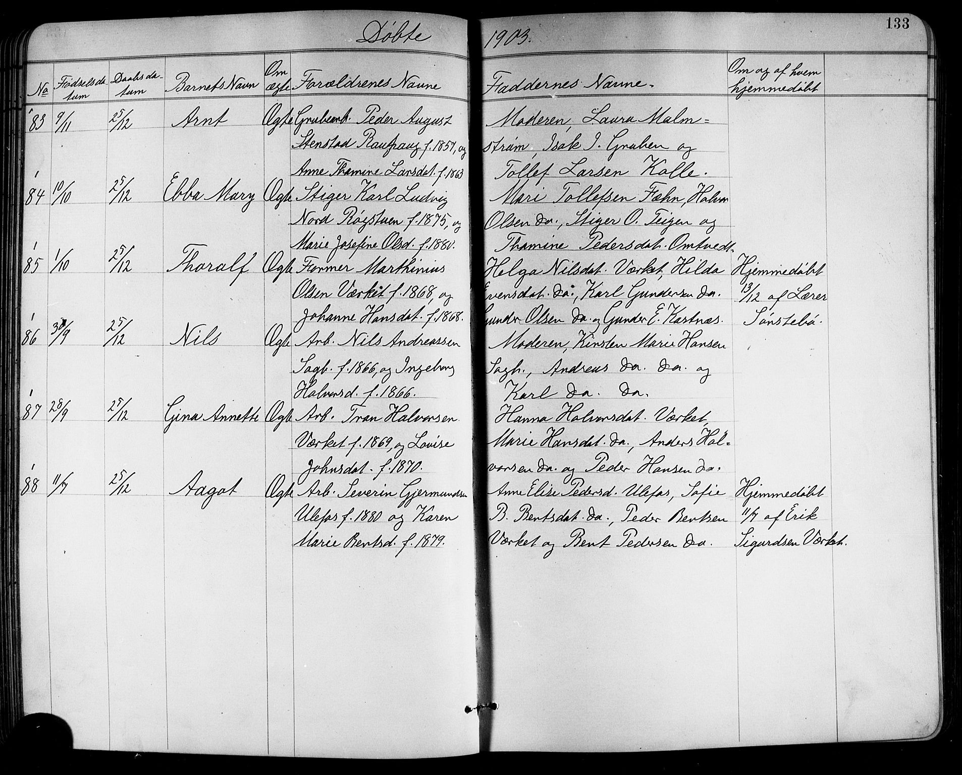 Holla kirkebøker, SAKO/A-272/G/Ga/L0005: Parish register (copy) no. I 5, 1891-1917, p. 133
