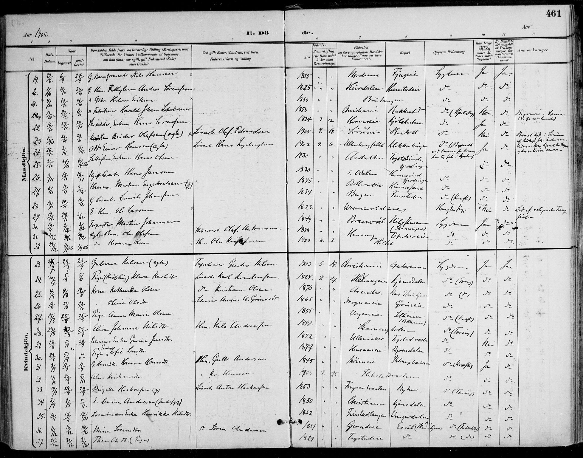 Nes prestekontor Kirkebøker, AV/SAO-A-10410/F/Fa/L0011: Parish register (official) no. I 11, 1899-1918, p. 461