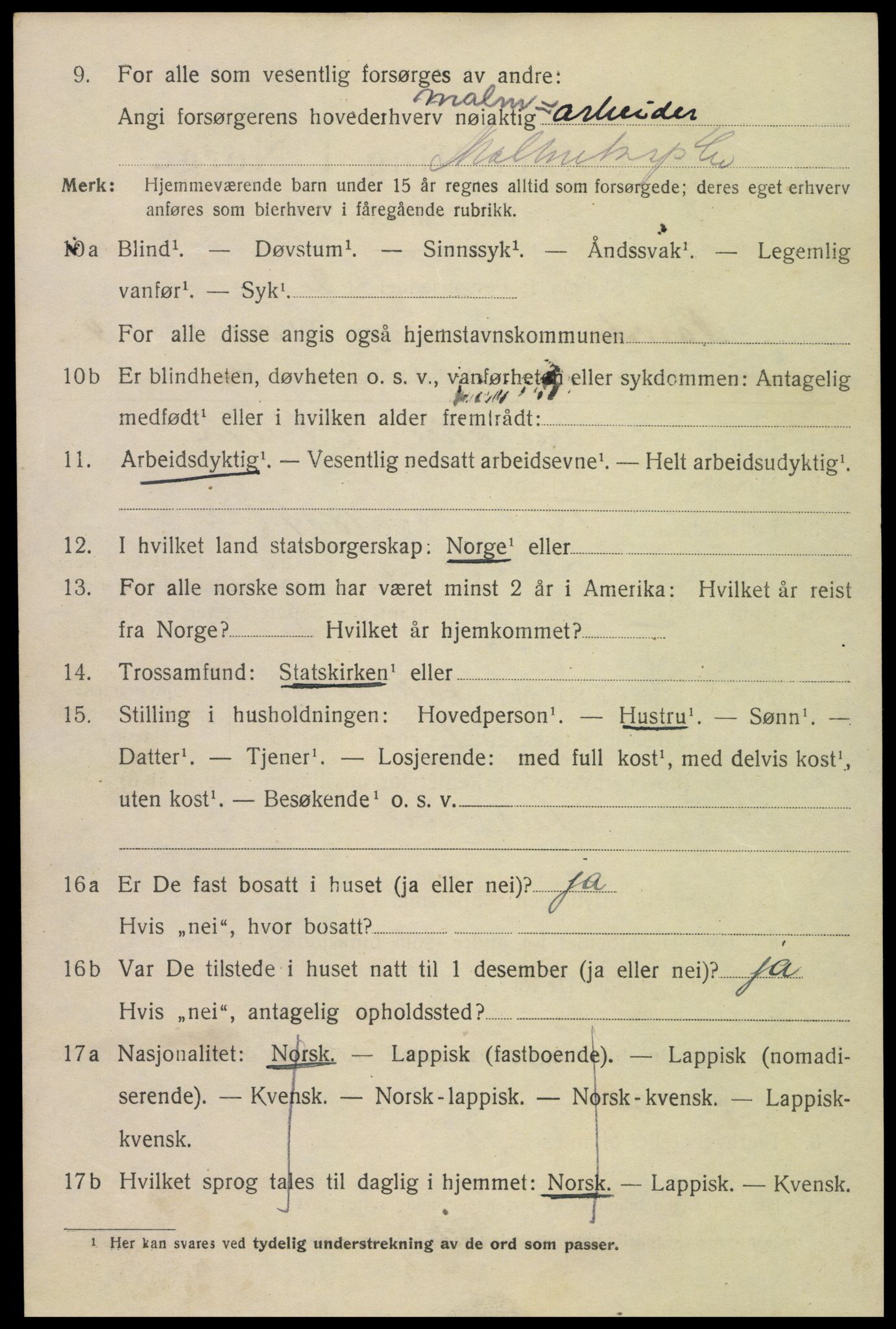 SAT, 1920 census for Narvik, 1920, p. 14309