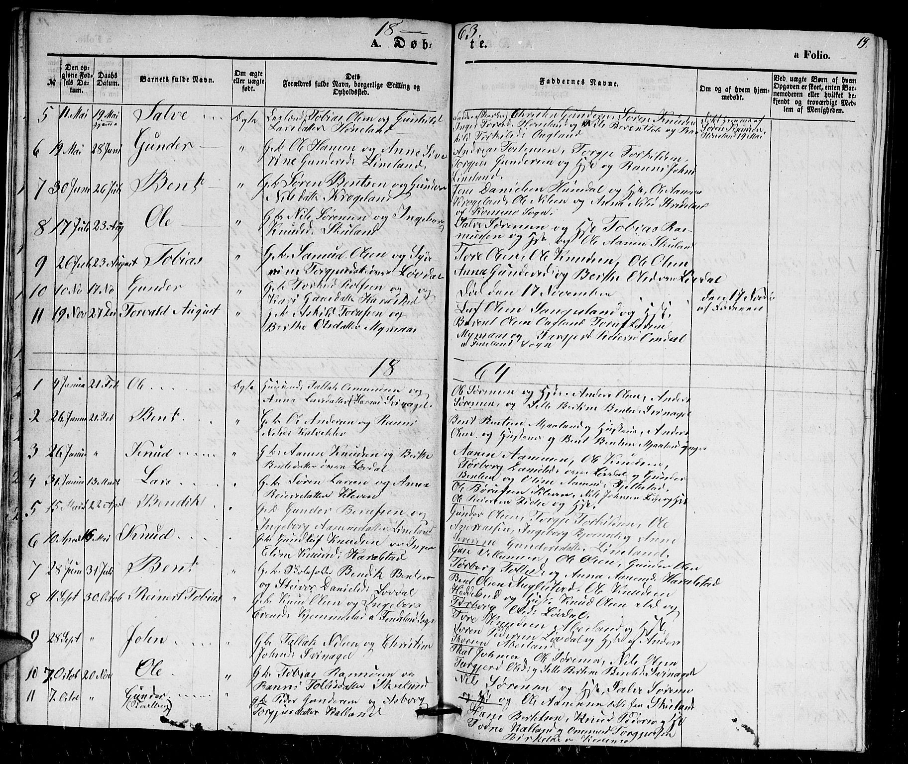 Holum sokneprestkontor, AV/SAK-1111-0022/F/Fb/Fbb/L0002: Parish register (copy) no. B 2, 1847-1874, p. 19