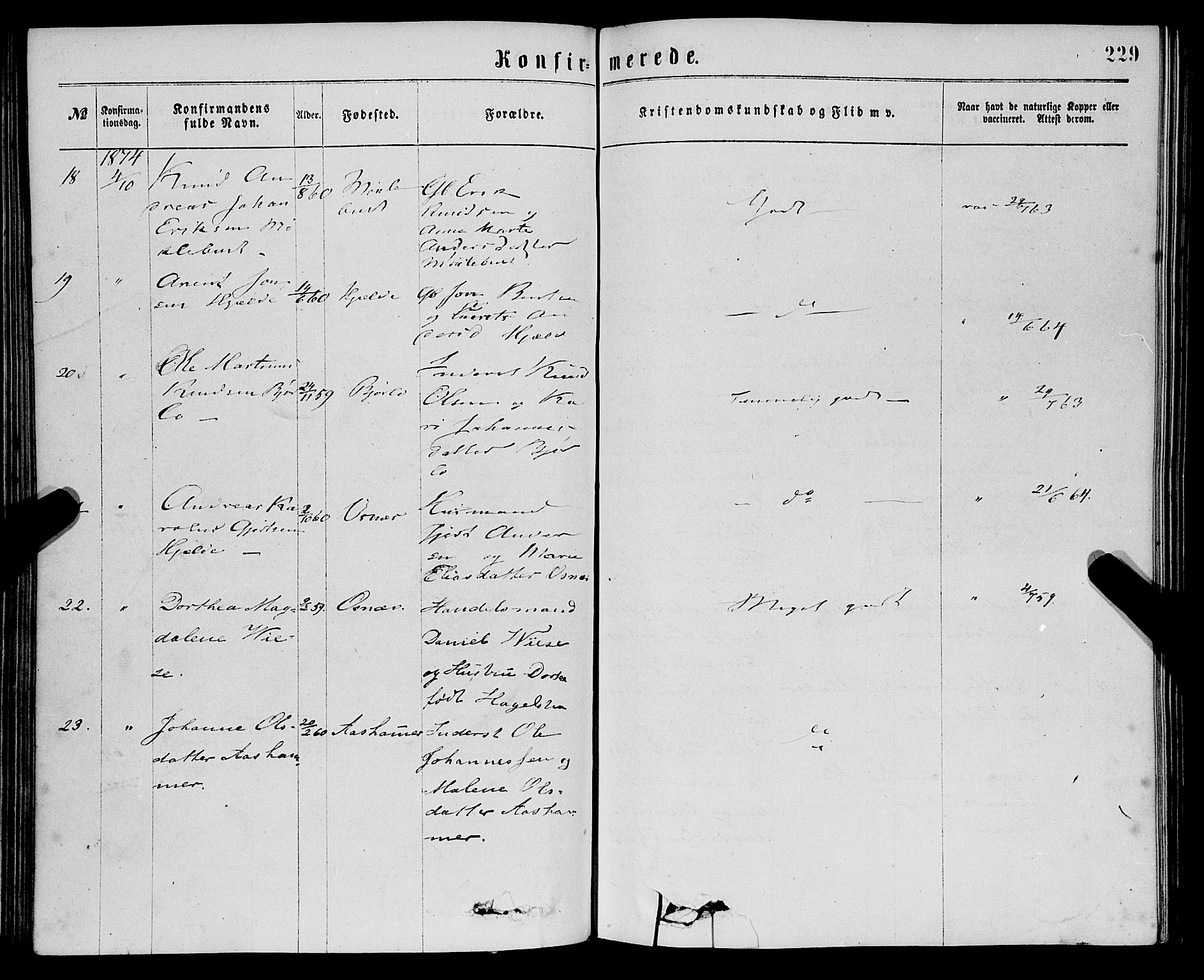 Eid sokneprestembete, AV/SAB-A-82301/H/Haa/Haaa/L0010: Parish register (official) no. A 10, 1867-1878, p. 229