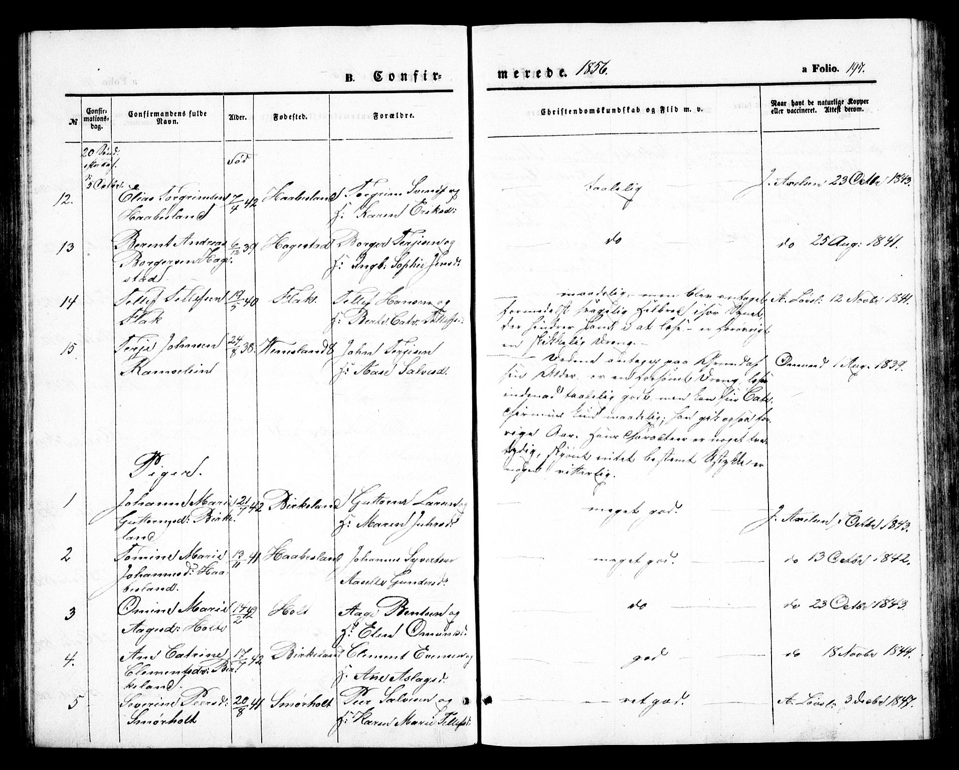 Birkenes sokneprestkontor, SAK/1111-0004/F/Fb/L0002: Parish register (copy) no. B 2, 1849-1876, p. 197