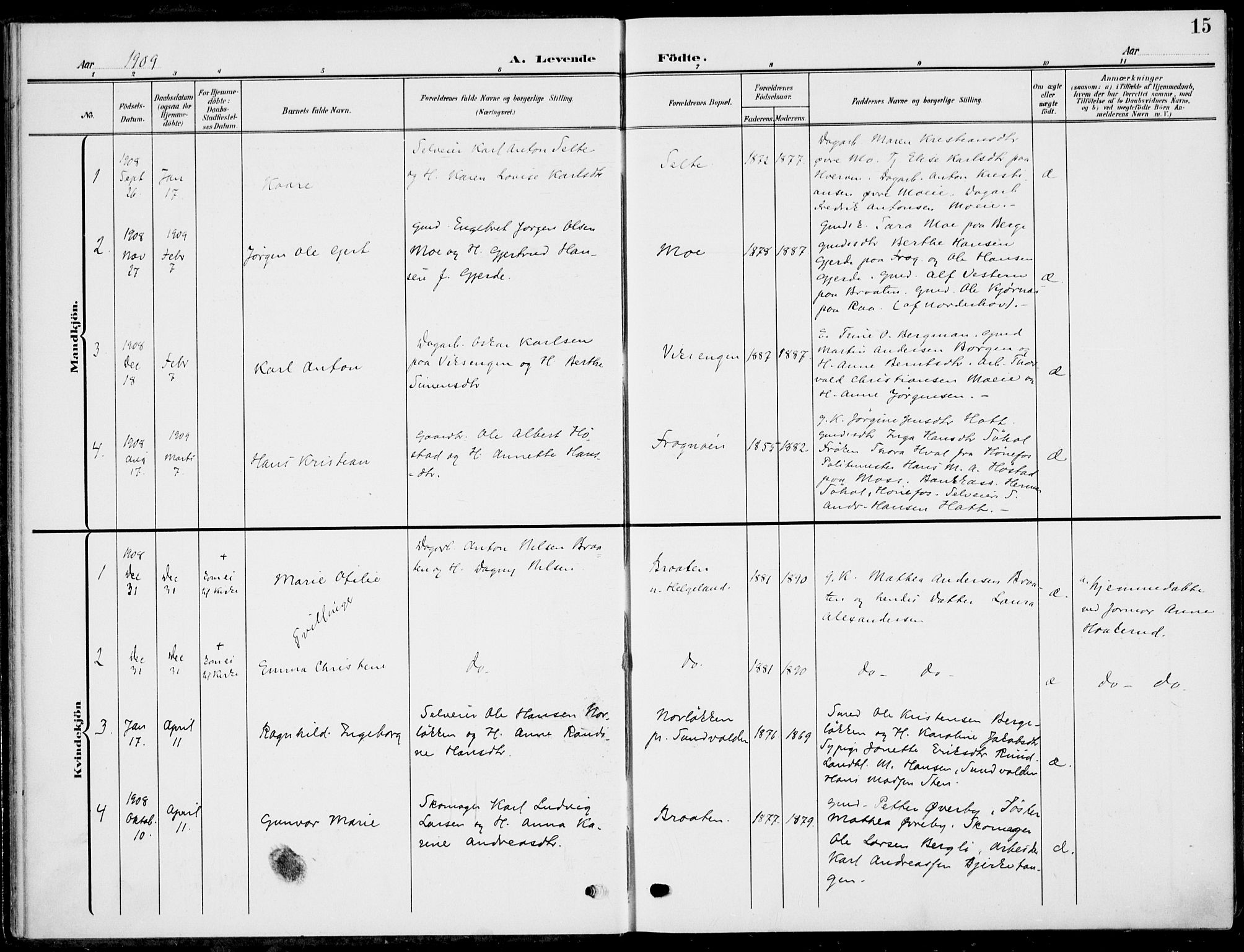 Hole kirkebøker, SAKO/A-228/F/Fa/L0010: Parish register (official) no. I 10, 1907-1917, p. 15