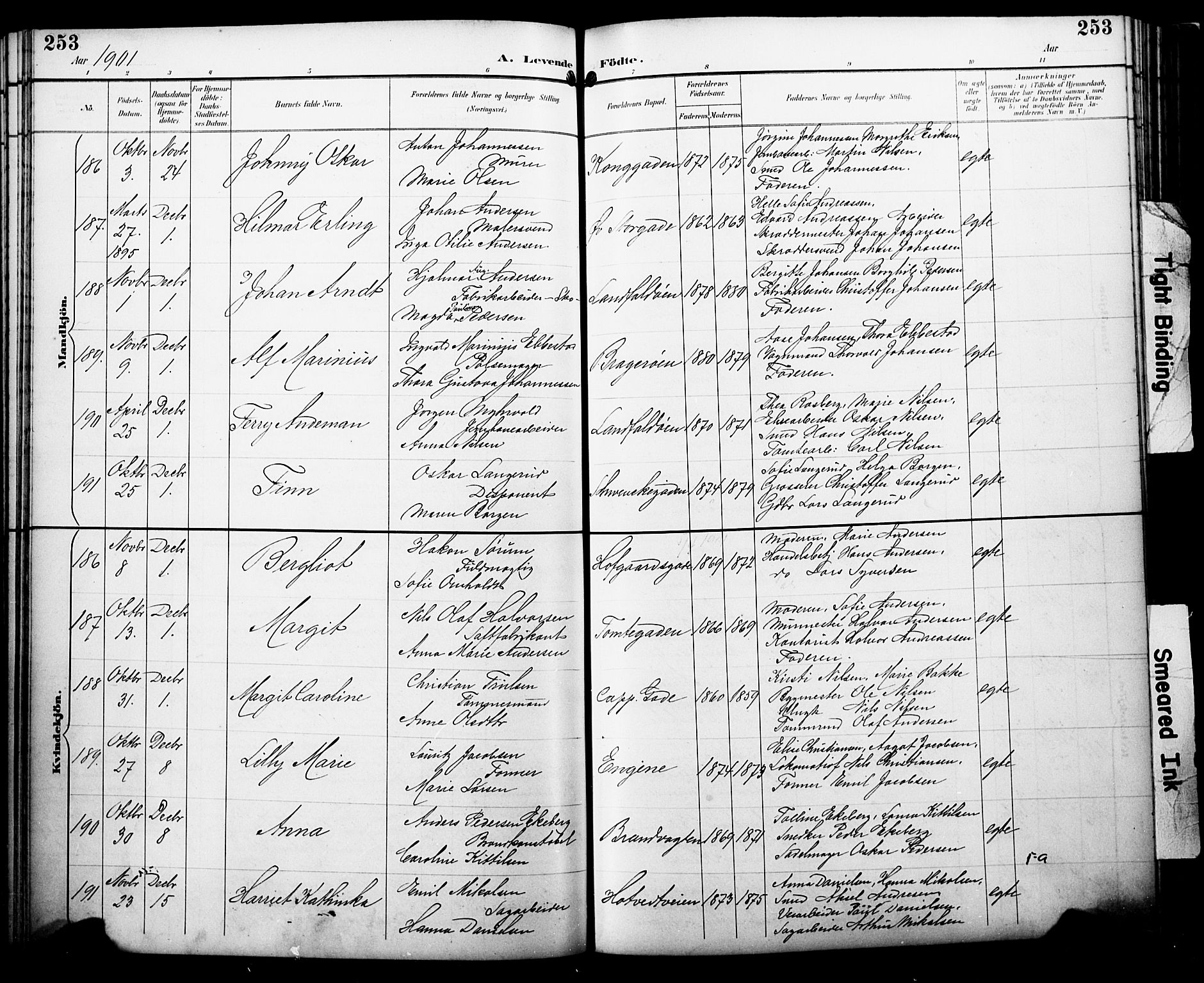 Bragernes kirkebøker, AV/SAKO-A-6/F/Fb/L0008: Parish register (official) no. II 8, 1894-1902, p. 253