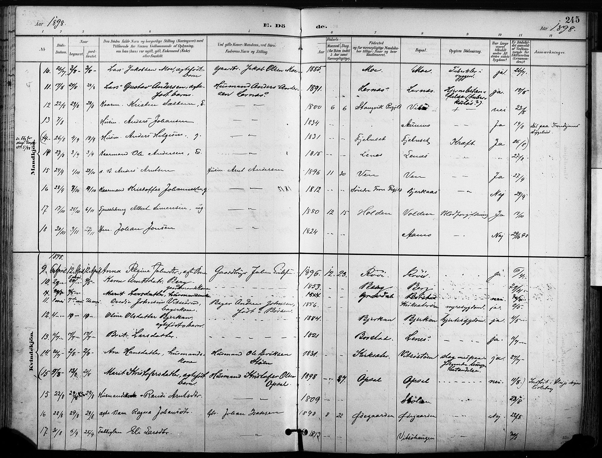 Ministerialprotokoller, klokkerbøker og fødselsregistre - Sør-Trøndelag, AV/SAT-A-1456/630/L0497: Parish register (official) no. 630A10, 1896-1910, p. 245