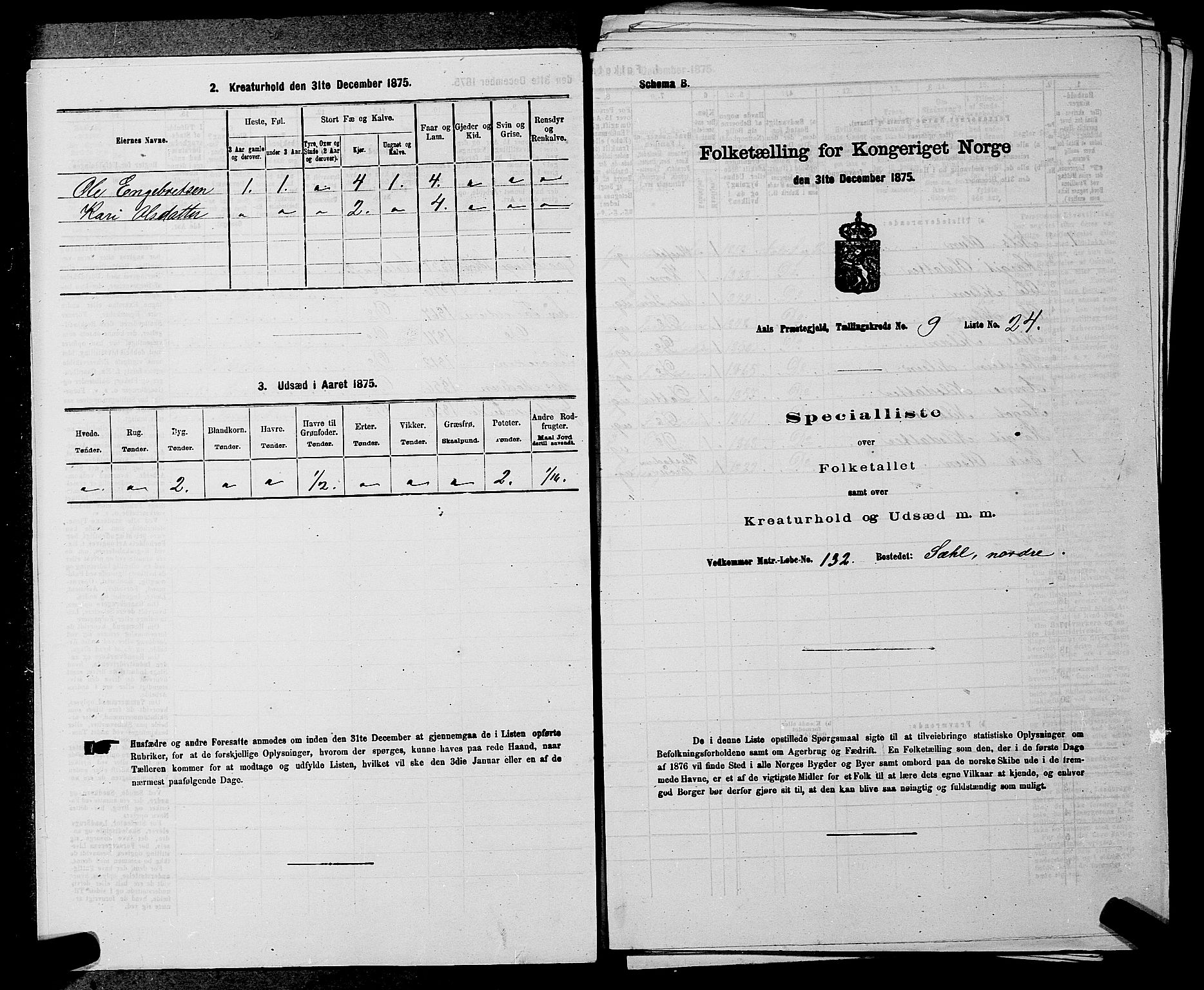 SAKO, 1875 census for 0619P Ål, 1875, p. 1143