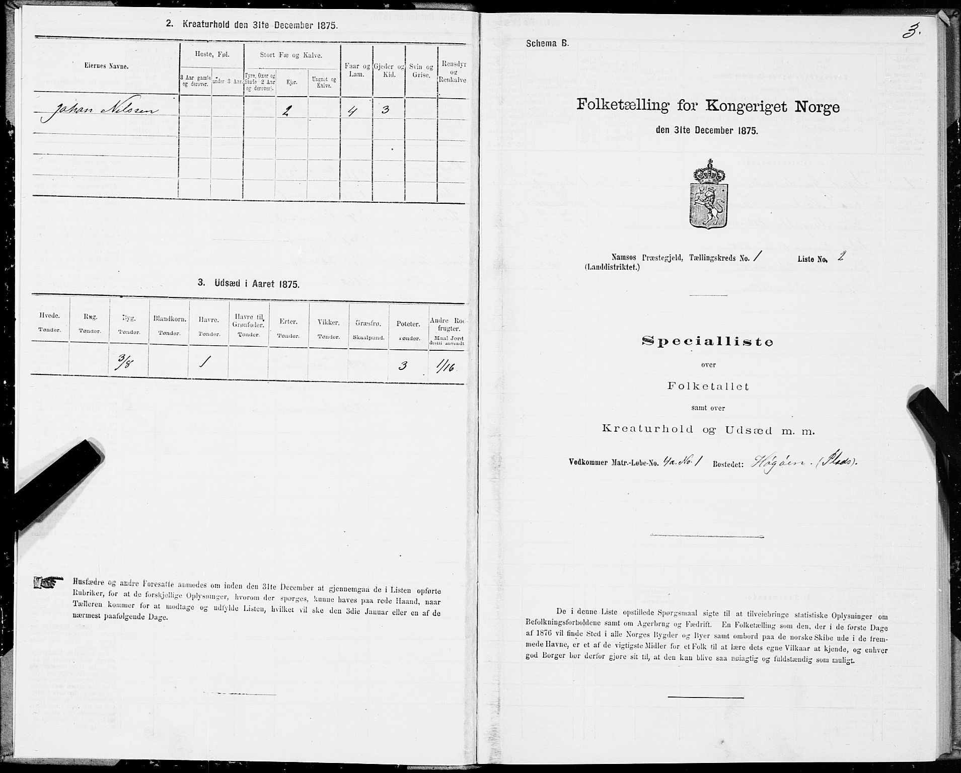 SAT, 1875 census for 1745L Namsos/Vemundvik og Sævik, 1875, p. 1003