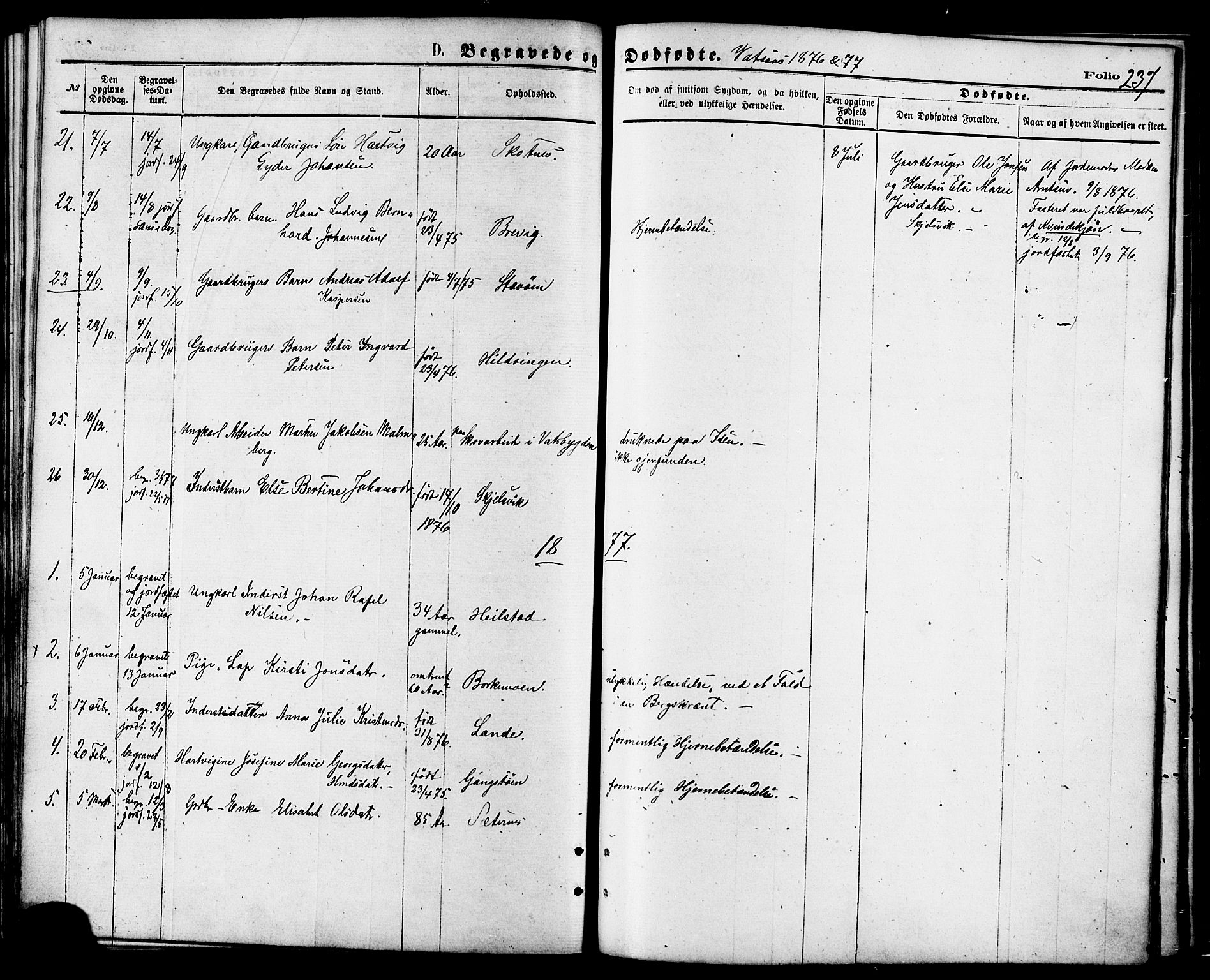 Ministerialprotokoller, klokkerbøker og fødselsregistre - Nordland, AV/SAT-A-1459/810/L0148: Parish register (official) no. 810A09 /1, 1874-1884, p. 237