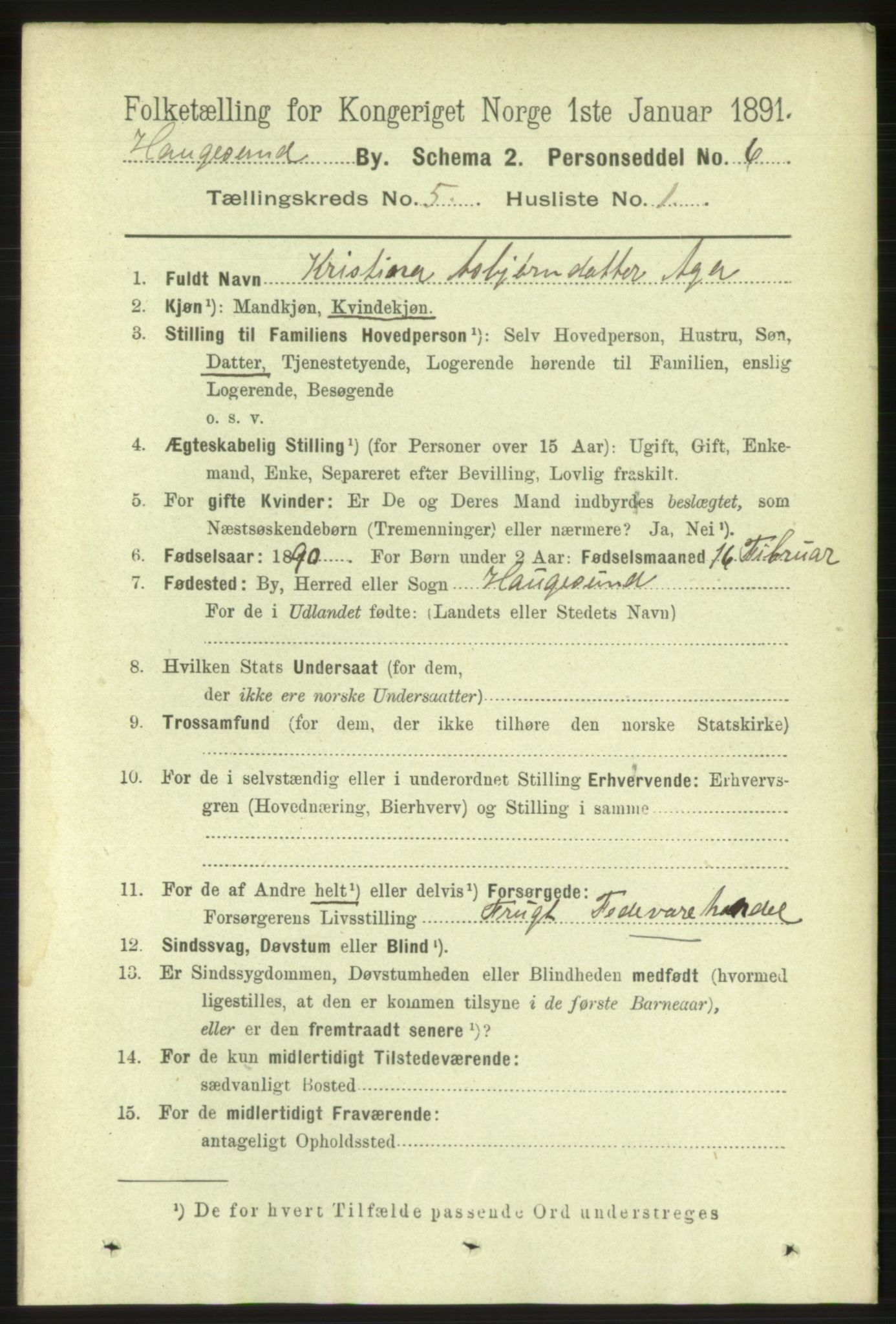 RA, 1891 census for 1106 Haugesund, 1891, p. 1938