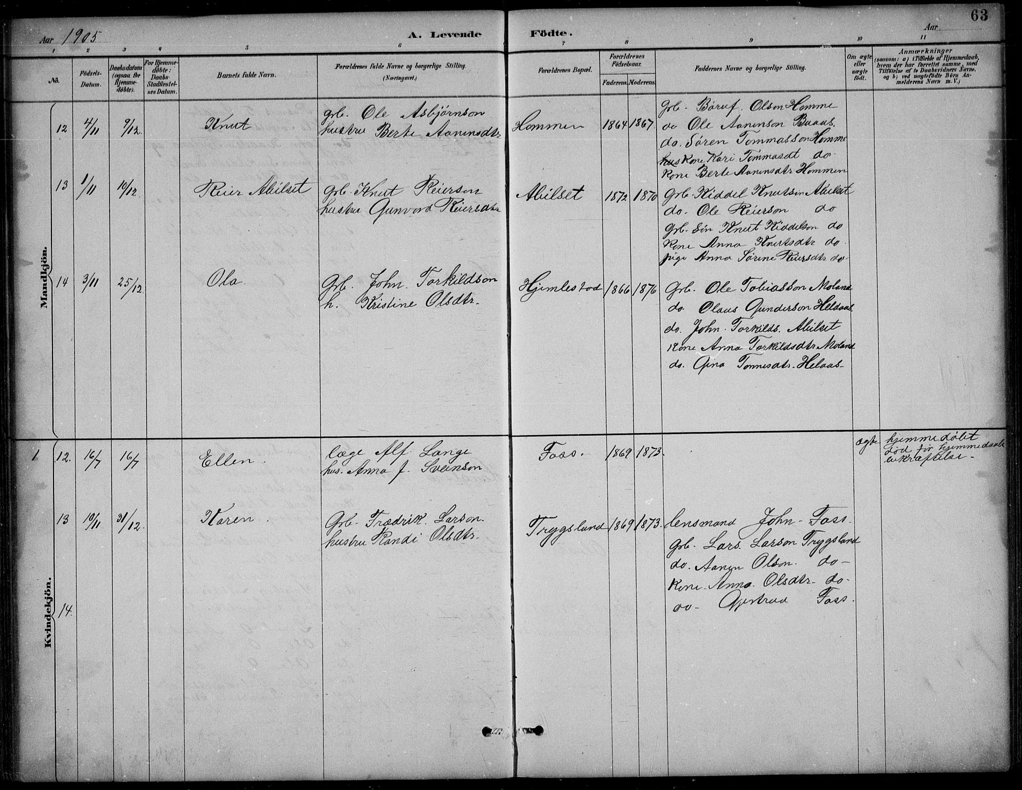 Bjelland sokneprestkontor, AV/SAK-1111-0005/F/Fb/Fba/L0005: Parish register (copy) no. B 5, 1887-1923, p. 63