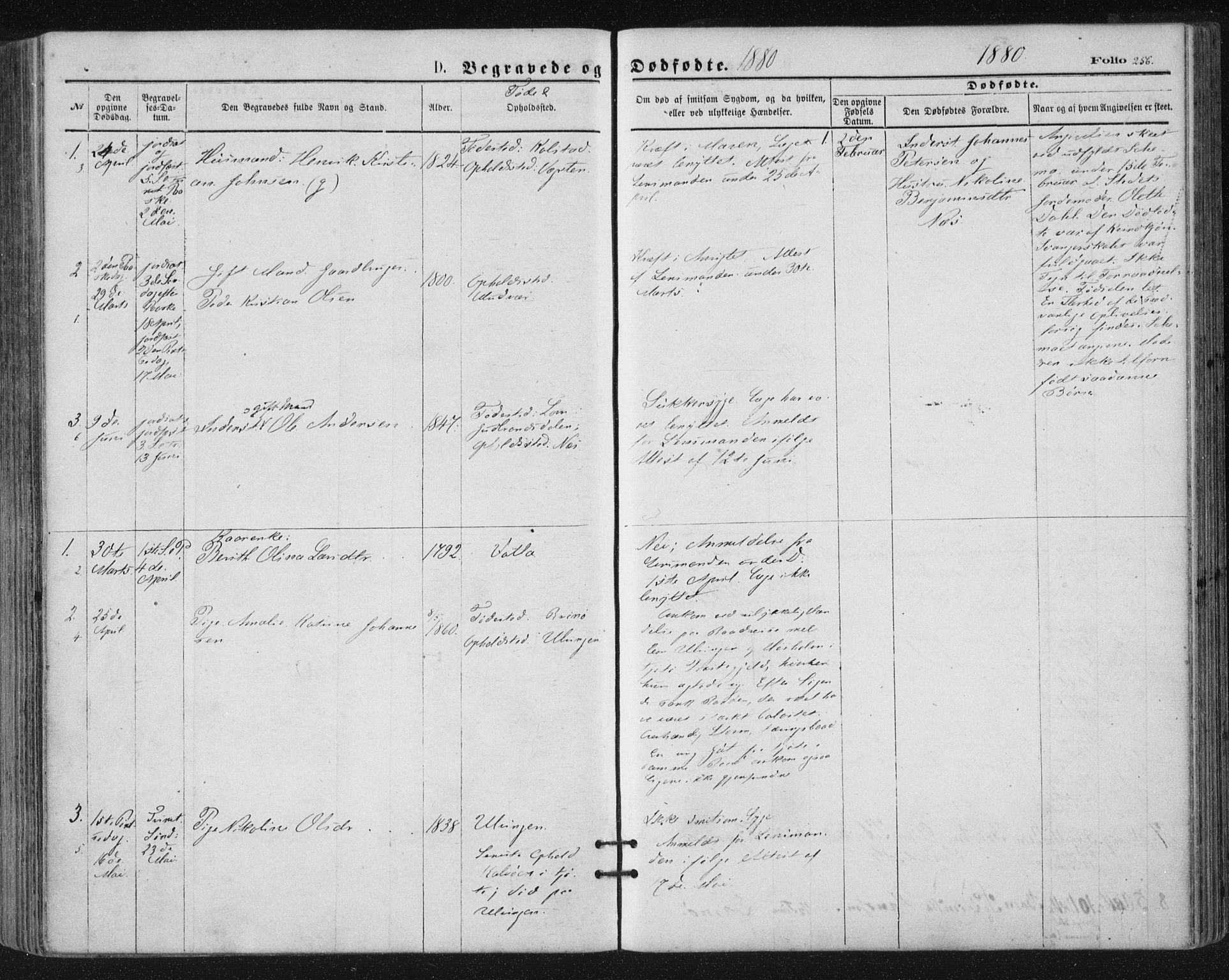 Ministerialprotokoller, klokkerbøker og fødselsregistre - Nordland, SAT/A-1459/816/L0241: Parish register (official) no. 816A07, 1870-1885, p. 256