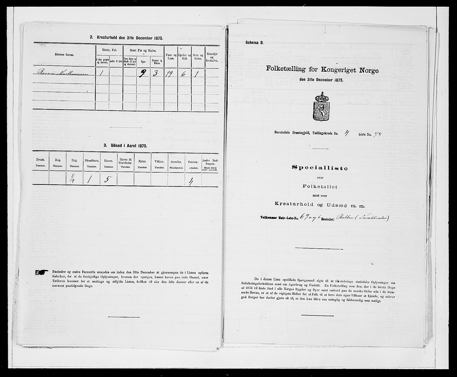 SAB, 1875 Census for 1444P Hornindal, 1875, p. 543