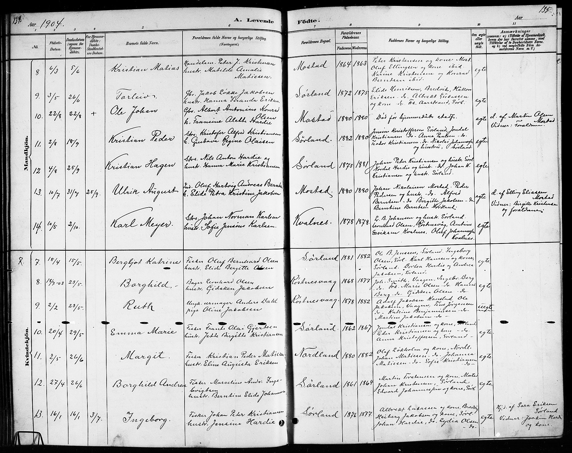 Ministerialprotokoller, klokkerbøker og fødselsregistre - Nordland, SAT/A-1459/807/L0123: Parish register (copy) no. 807C01, 1884-1910, p. 134-135