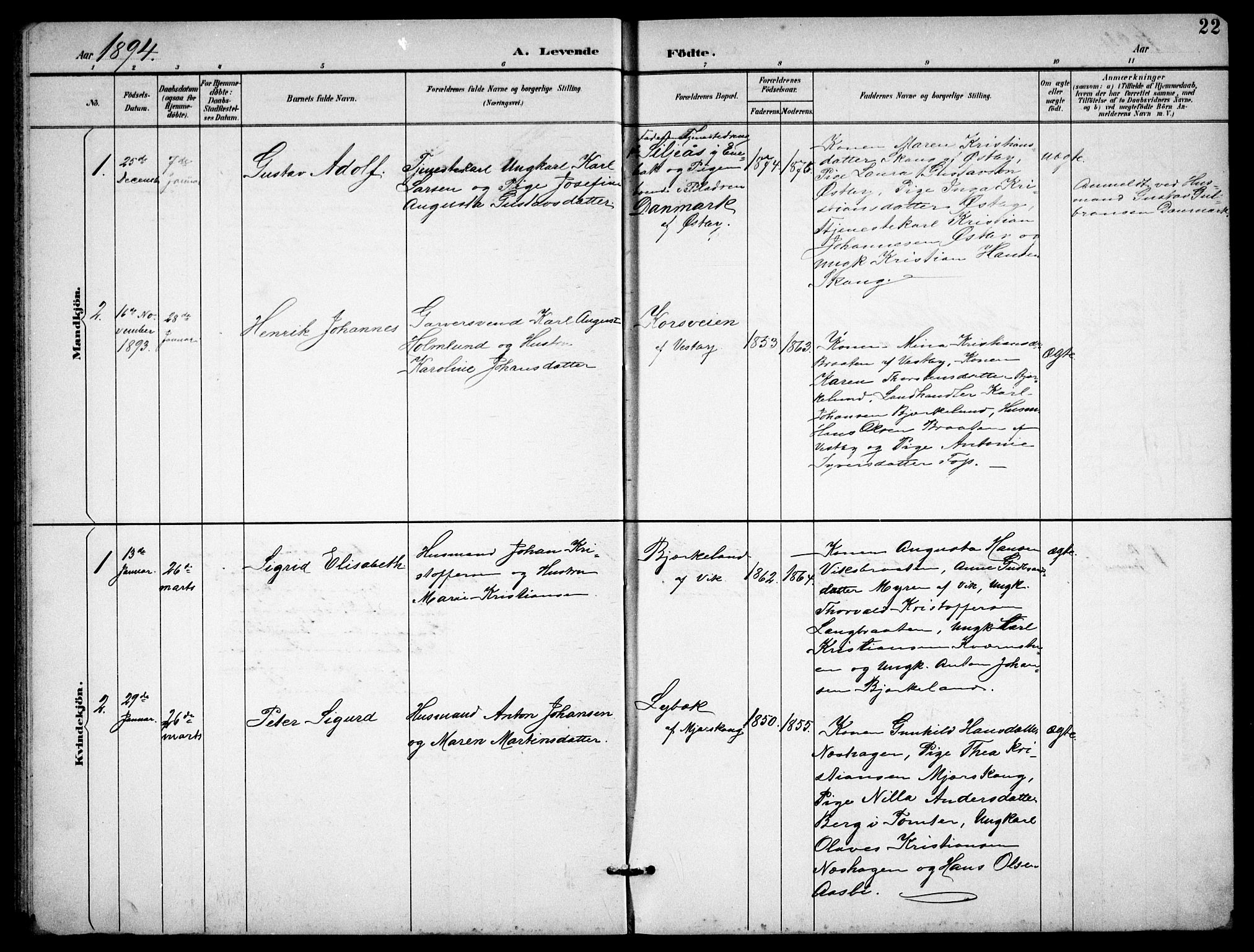 Enebakk prestekontor Kirkebøker, SAO/A-10171c/G/Gb/L0002: Parish register (copy) no. II 2, 1891-1903, p. 22