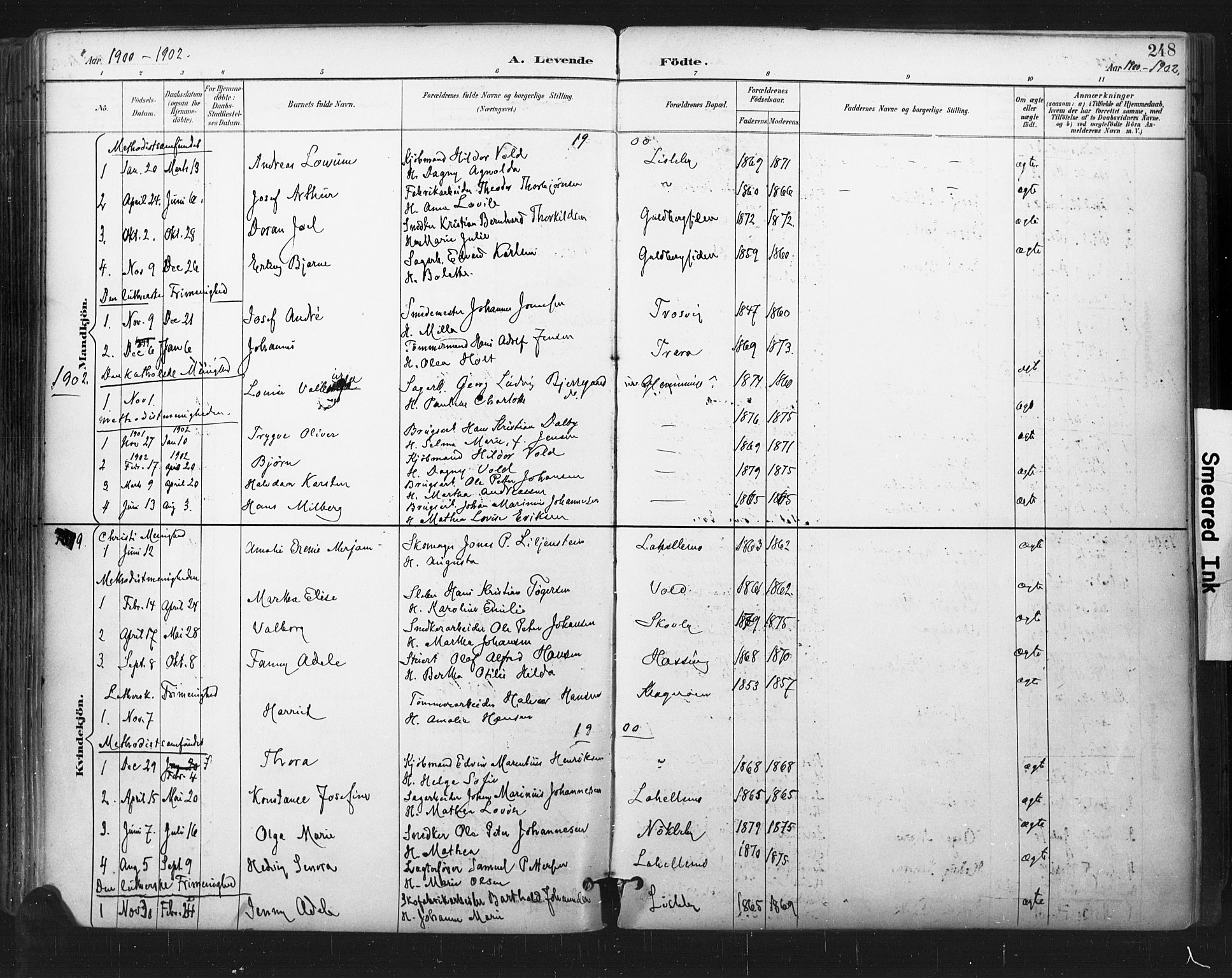 Glemmen prestekontor Kirkebøker, SAO/A-10908/F/Fa/L0013: Parish register (official) no. 13, 1892-1907, p. 248