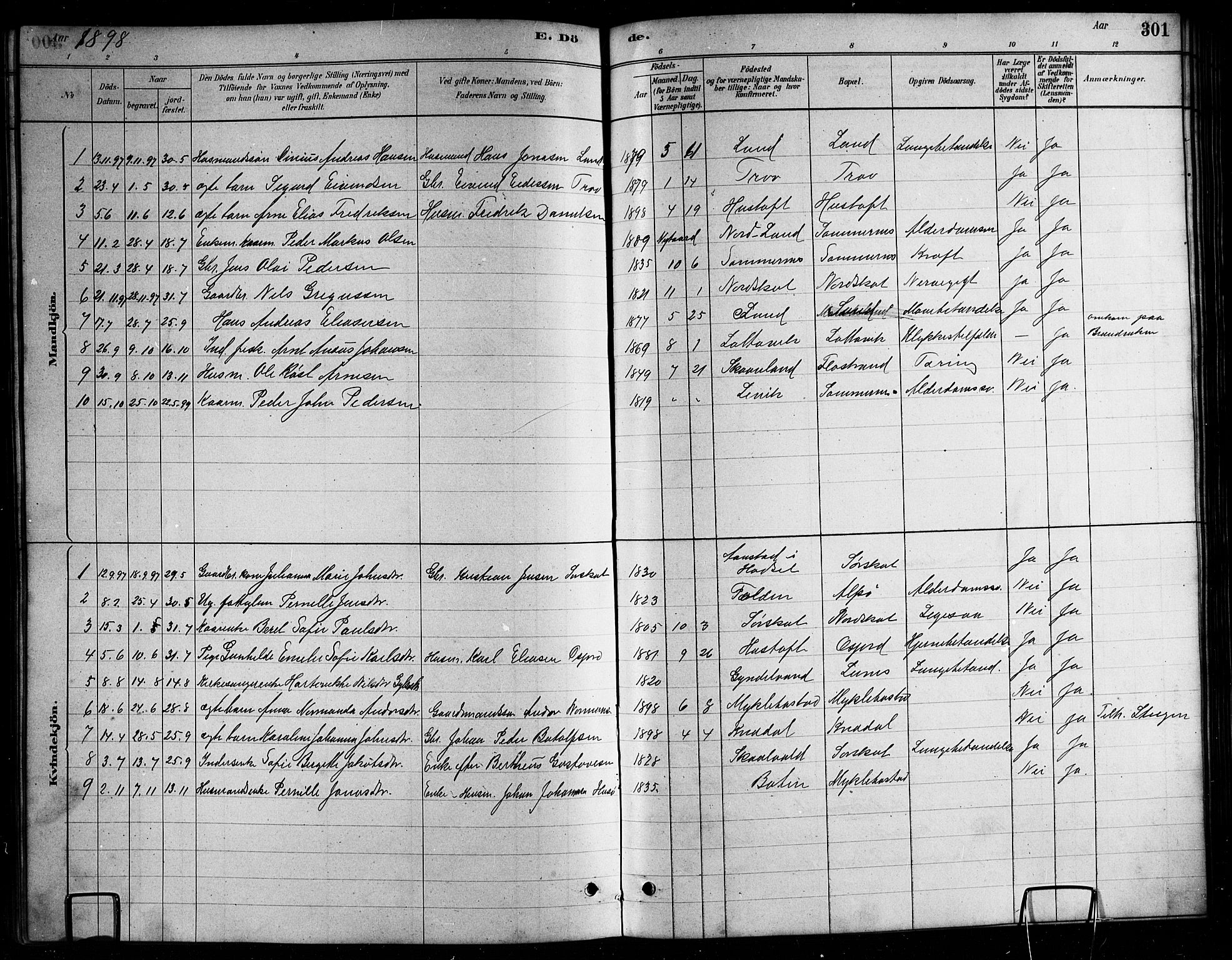 Ministerialprotokoller, klokkerbøker og fødselsregistre - Nordland, AV/SAT-A-1459/857/L0828: Parish register (copy) no. 857C03, 1879-1908, p. 301