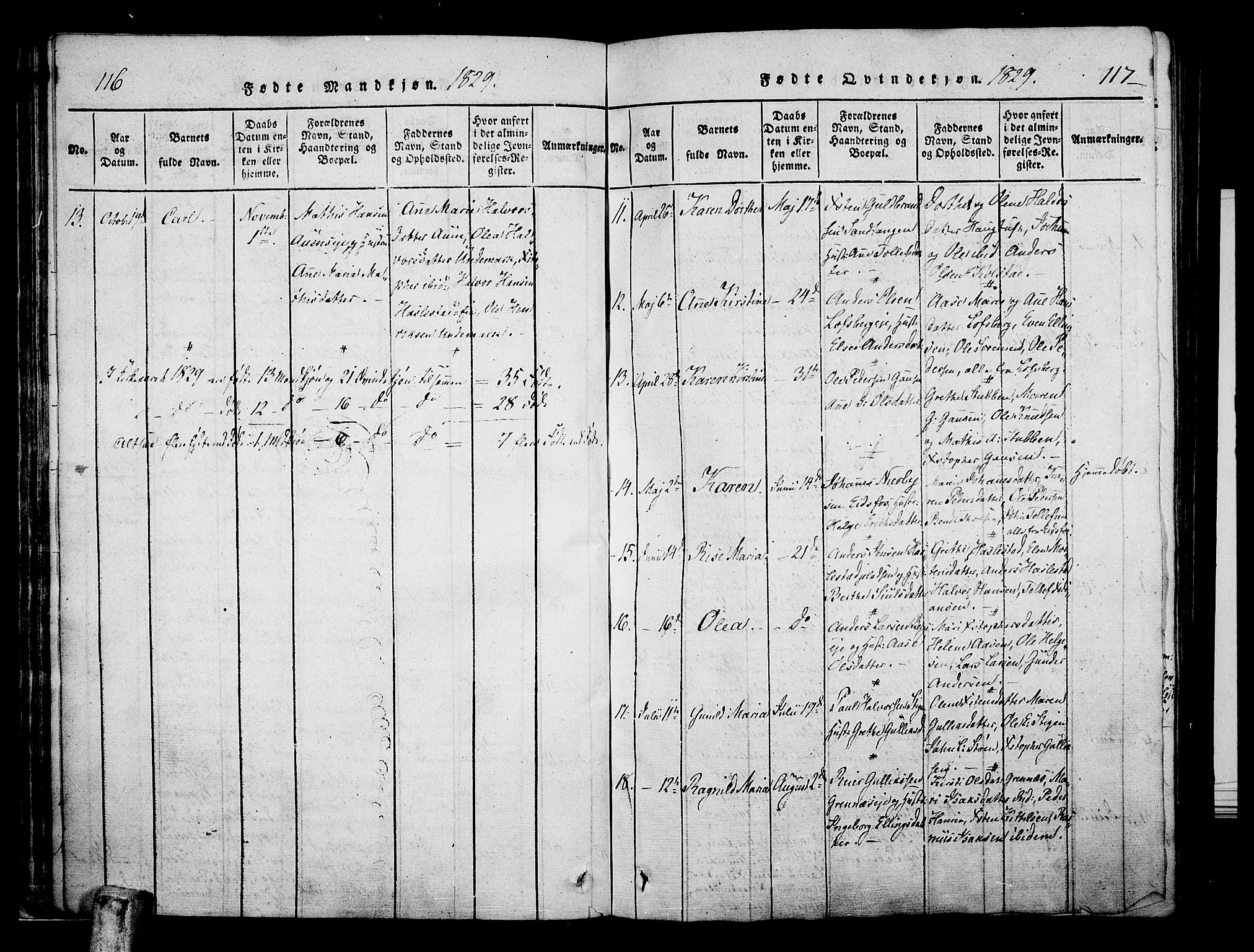 Hof kirkebøker, AV/SAKO-A-64/F/Fa/L0004: Parish register (official) no. I 4, 1814-1843, p. 116-117