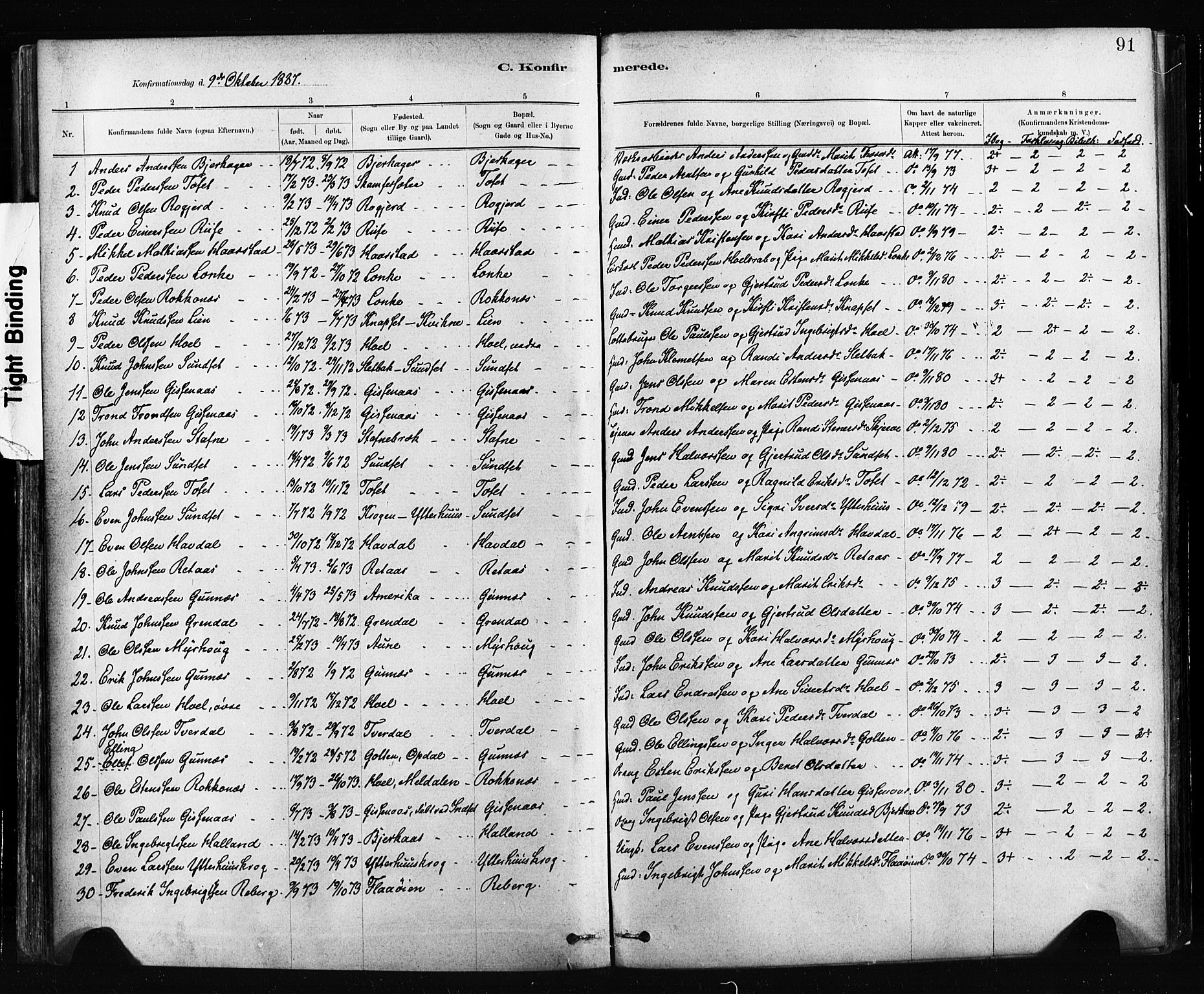 Ministerialprotokoller, klokkerbøker og fødselsregistre - Sør-Trøndelag, SAT/A-1456/674/L0871: Parish register (official) no. 674A03, 1880-1896, p. 91