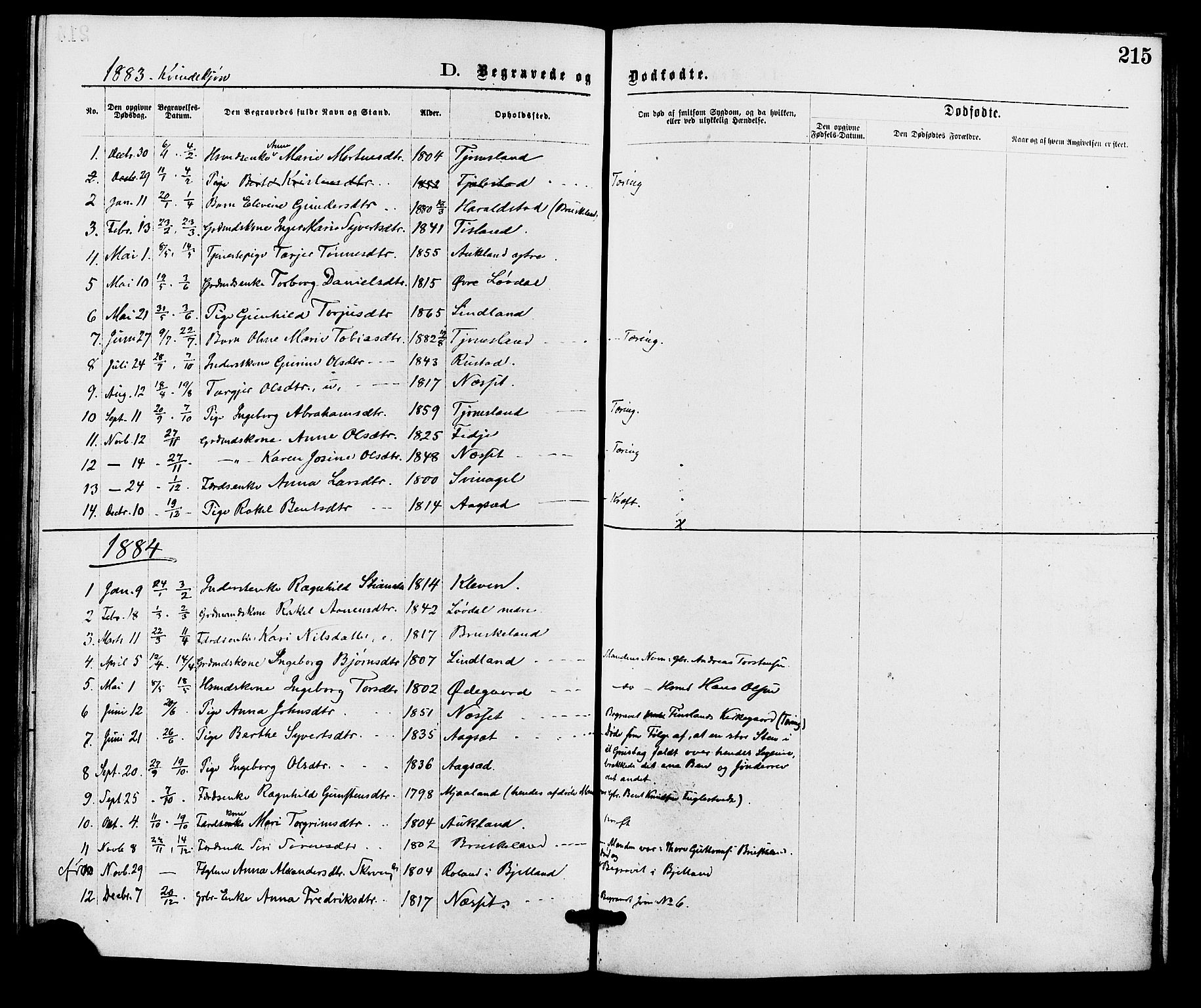 Holum sokneprestkontor, AV/SAK-1111-0022/F/Fa/Fab/L0006: Parish register (official) no. A 6, 1875-1886, p. 215