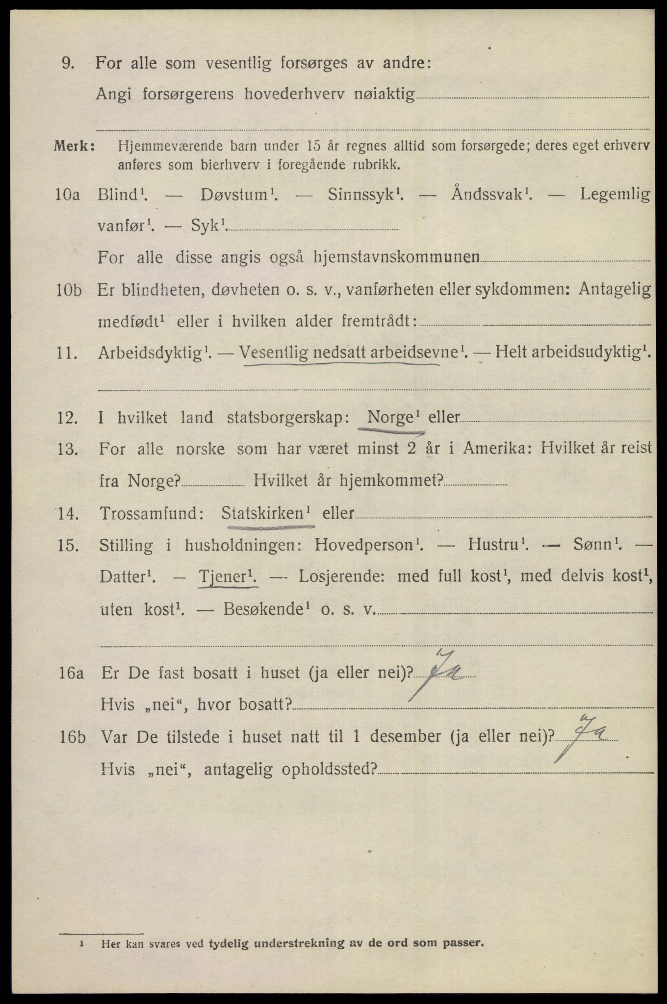 SAKO, 1920 census for Nes (Buskerud), 1920, p. 1893