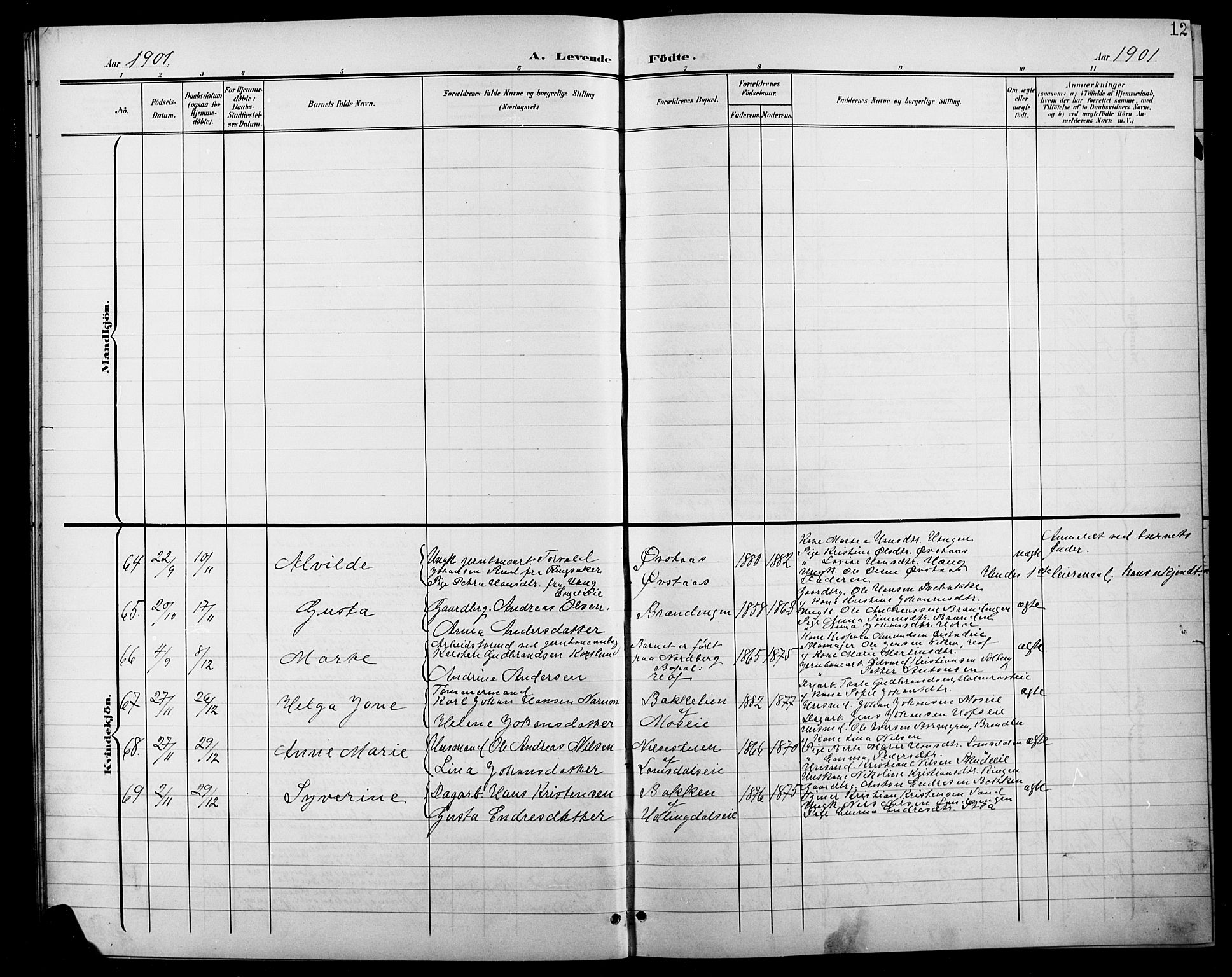 Søndre Land prestekontor, AV/SAH-PREST-122/L/L0004: Parish register (copy) no. 4, 1901-1915, p. 12